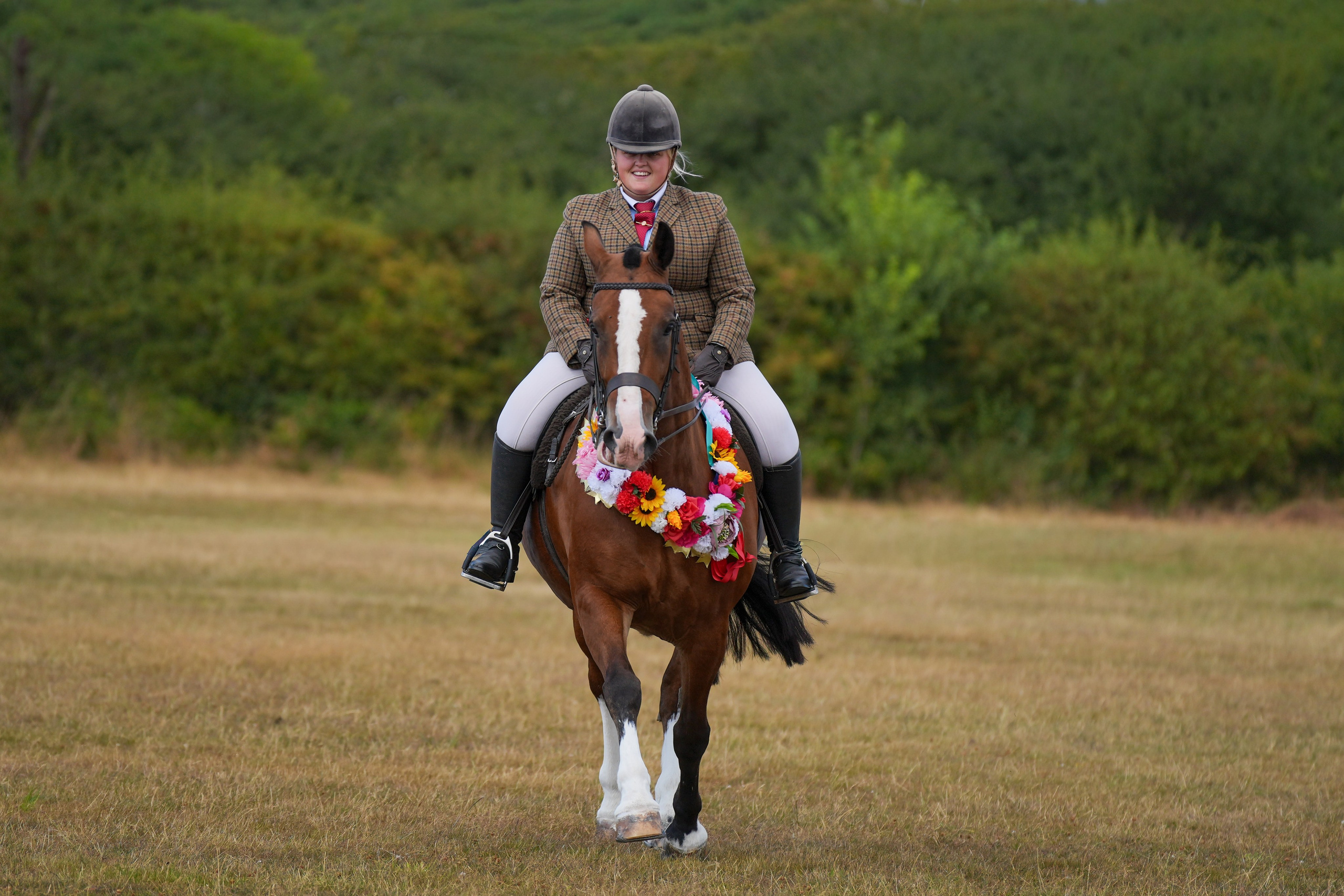 Showing. Leicestershire Equine Photography by El | Authentic Equine Portraits & Events