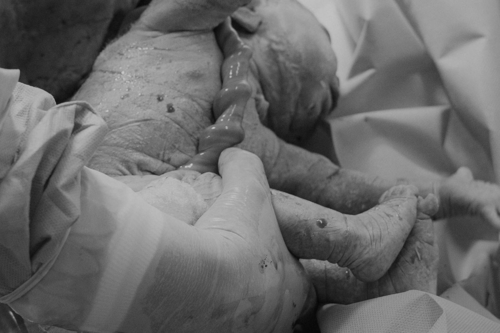 À chegada de Maria Liz. Salvy fotografia