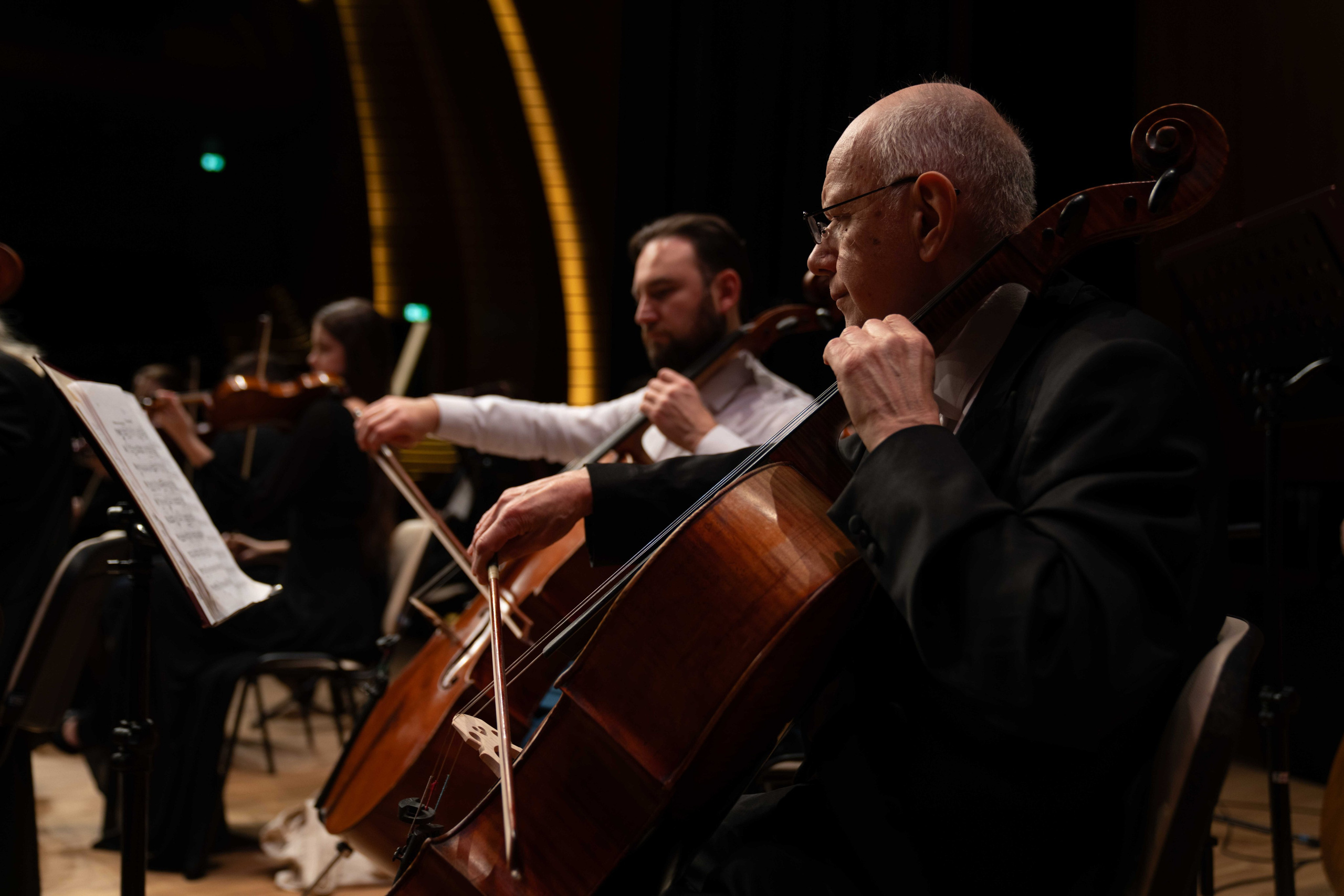 The Tchaikovsky Academic Grand Symphony Orchestra in Baku. Wedding&Event photographer Ismail Rzayev in Baku