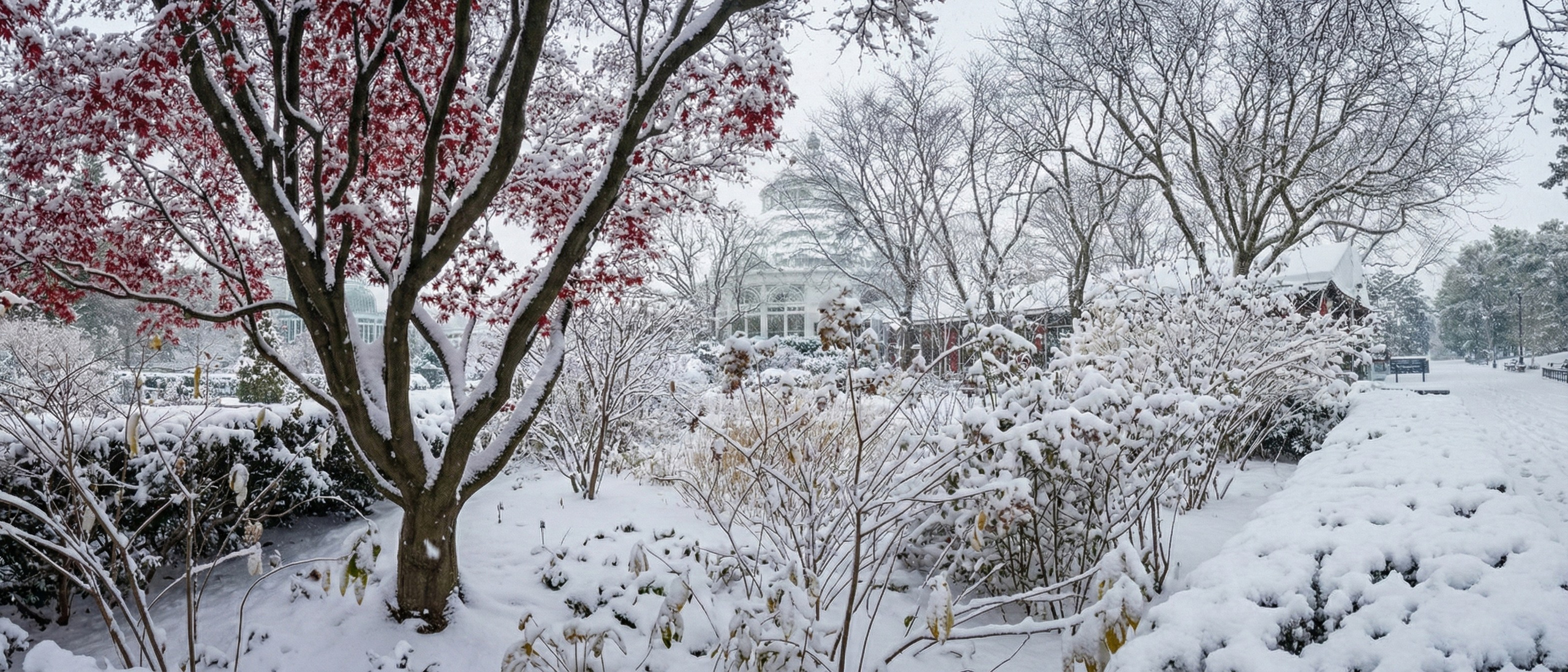 AI Turns Photos Into Winter — How Artificial Intelligence Is Changing Photography Style, Seasons & Visual Storytelling. Emin Kuliyev — Award-Winning Wedding Photojournalist NYC & USA | Best Wedding Photographer Known for Candid, Timeless Moments