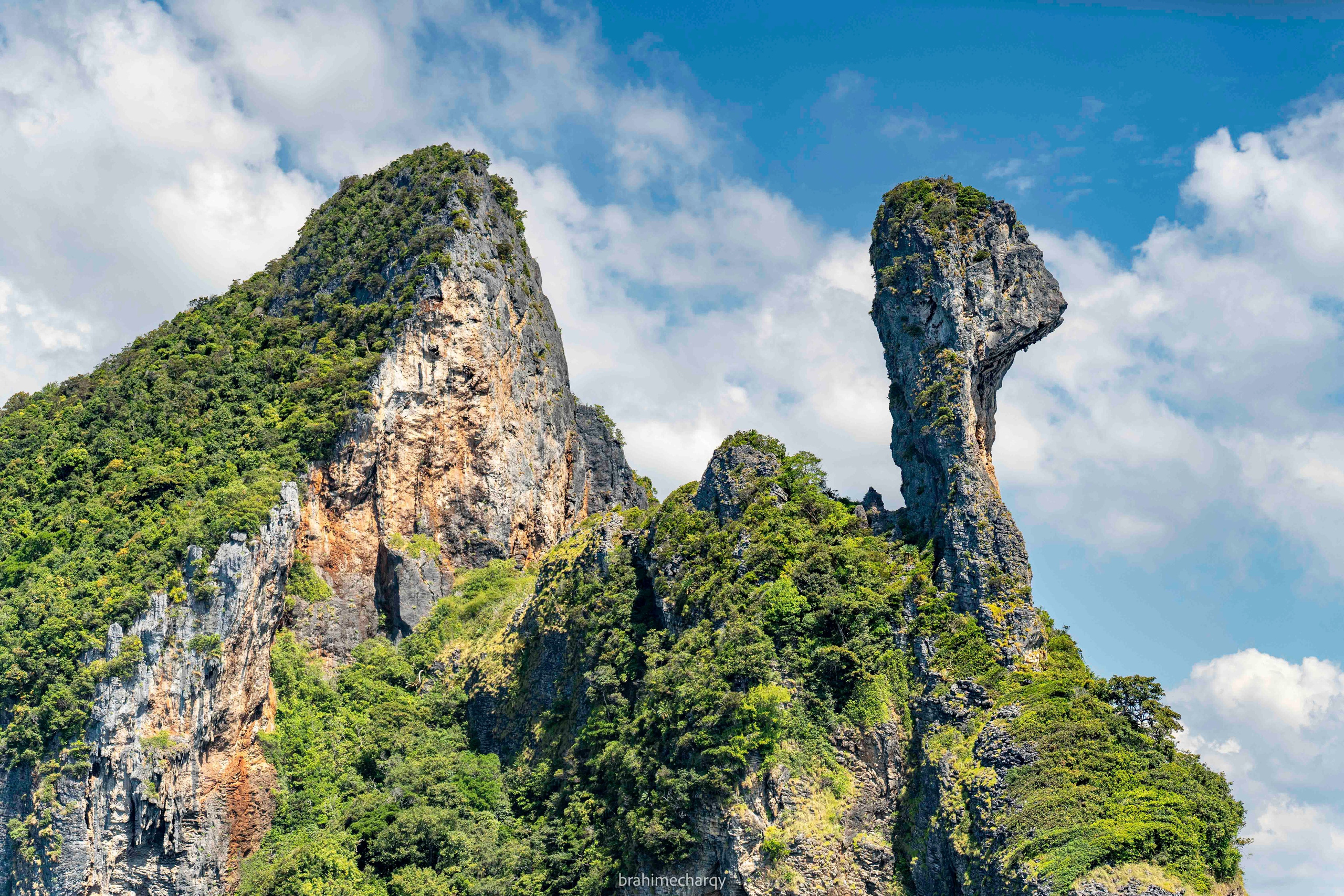 Фото. Брахим — фотограф