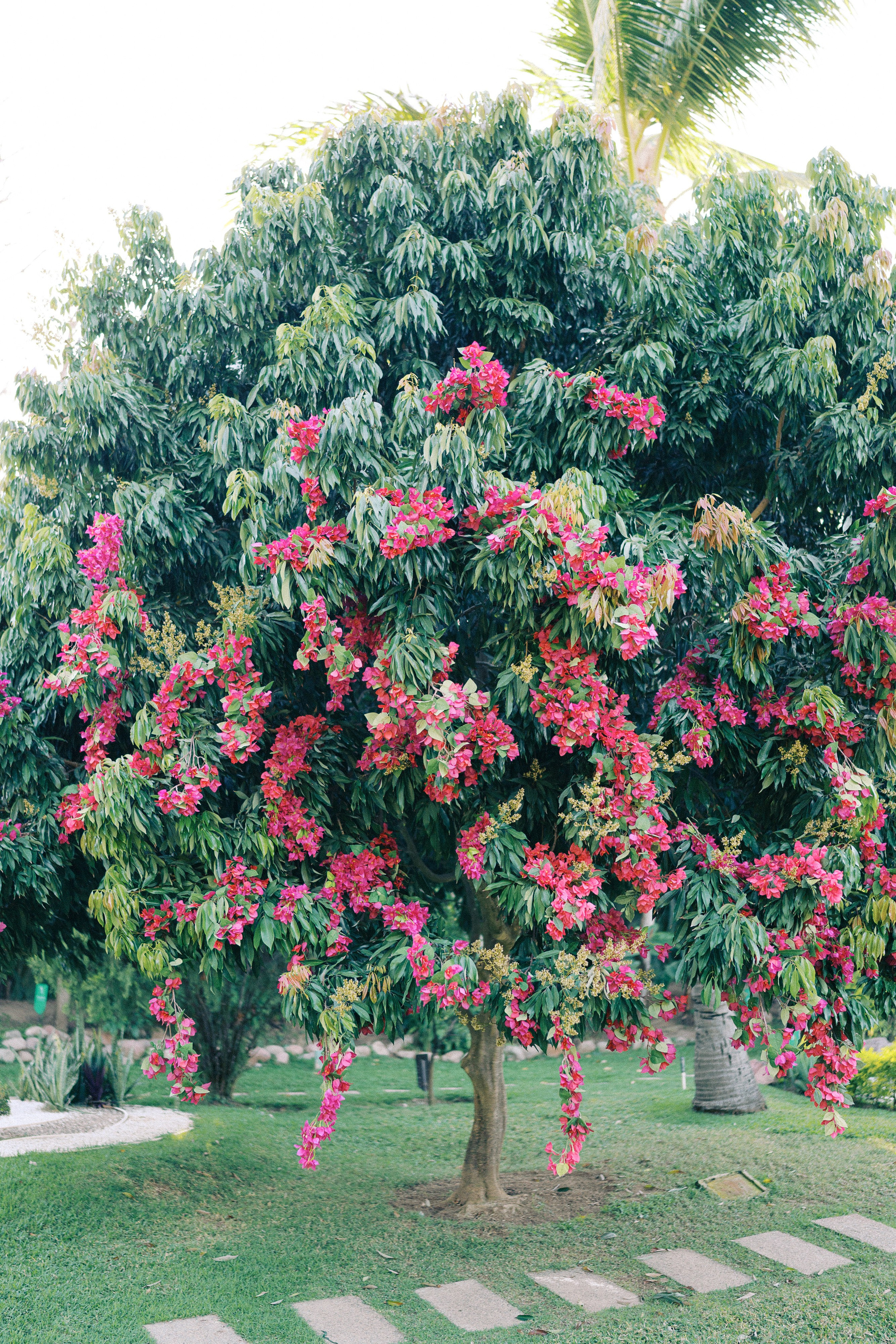 Emilee&Ryan.full. Sayulita Wedding Photographer, Puerto Vallarta, Cabo