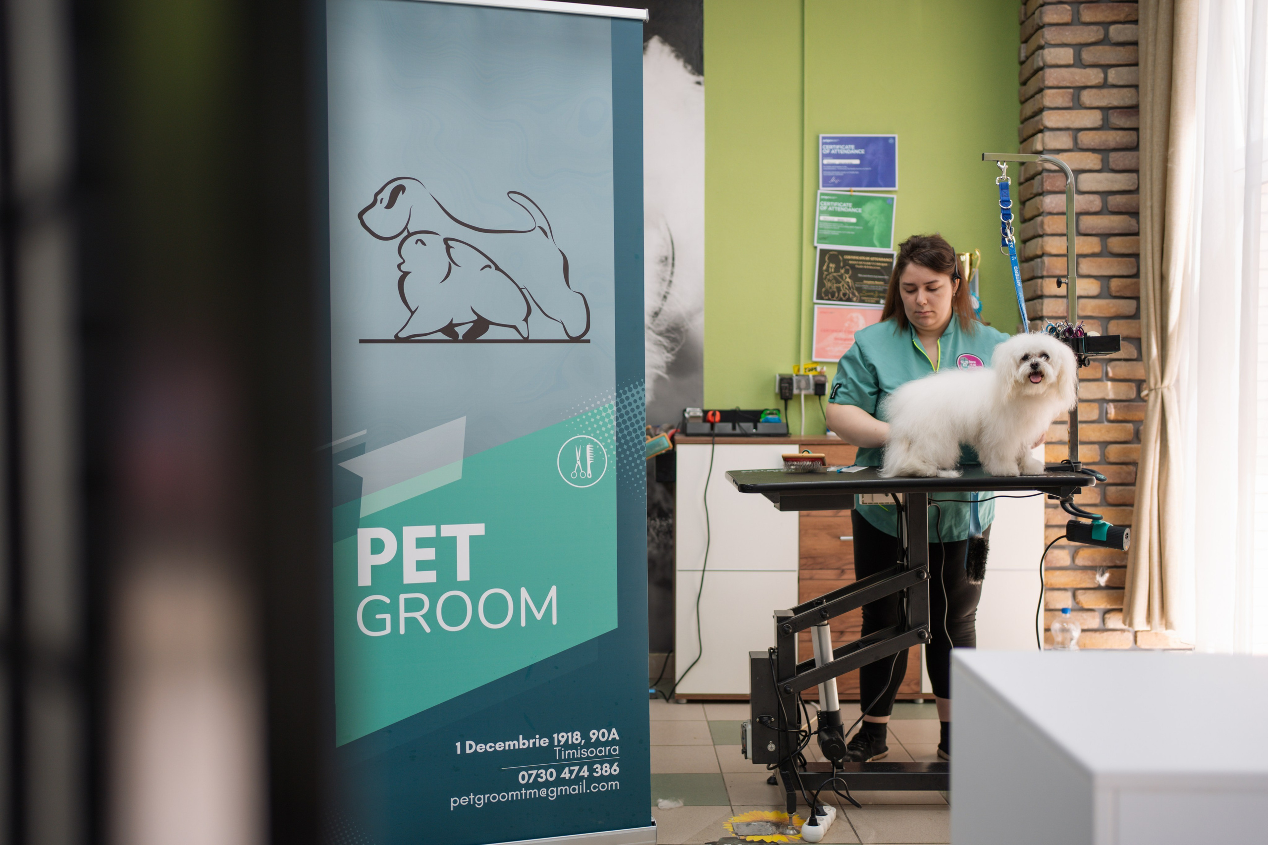PetGroom Timisoara
