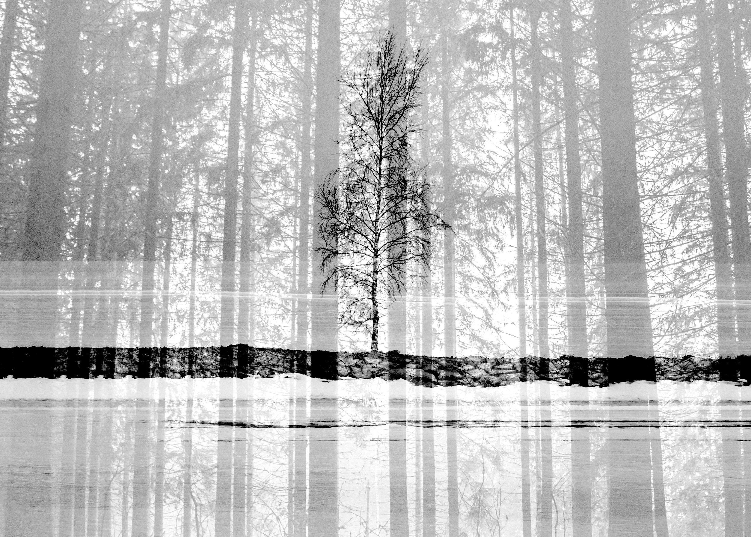 Displaced. Oksana Zhila, Valokuvaaja, Suomi, Lahti, Mikkeli, Helsinki