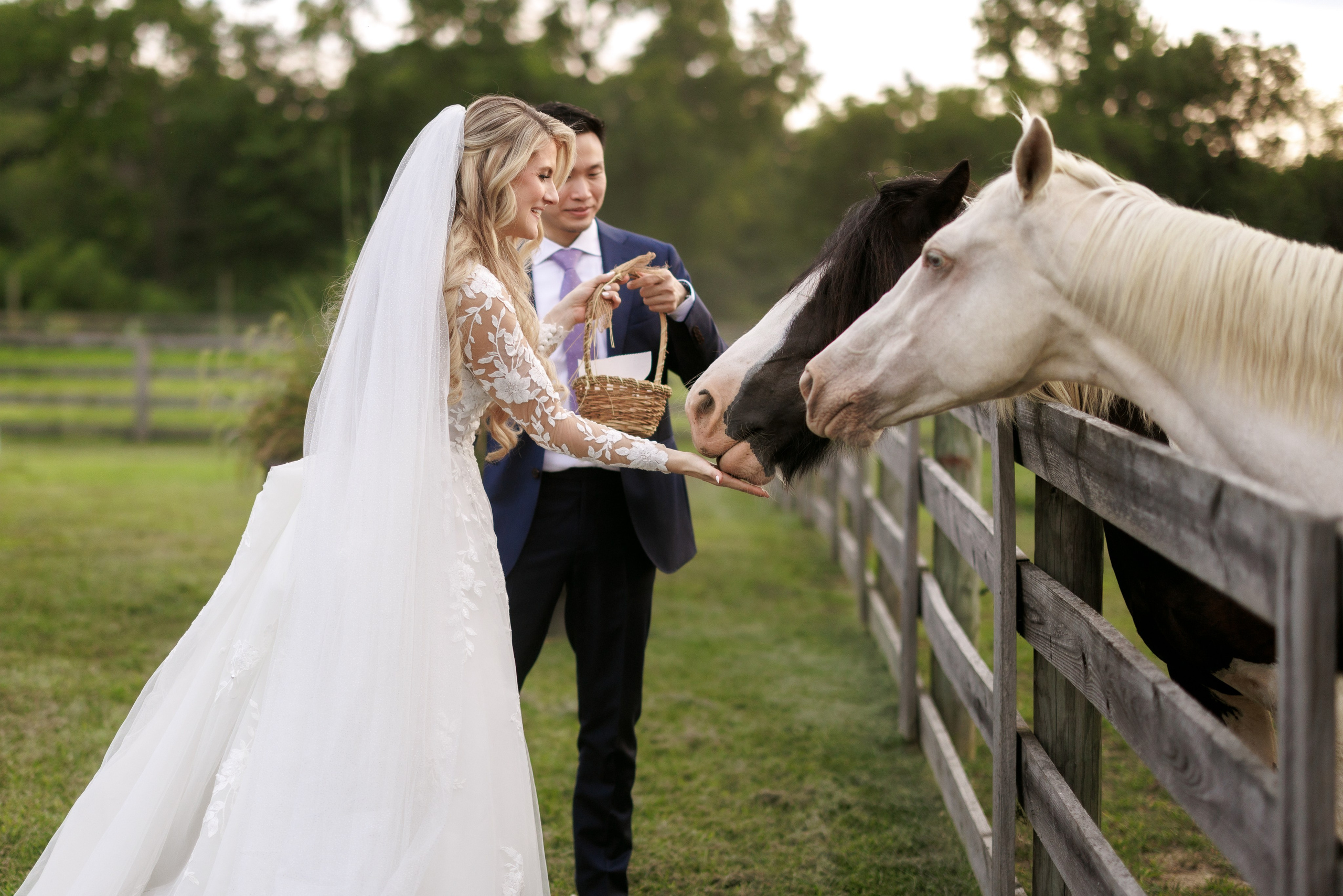 Agata & Eddie. Wedding Photo & Video