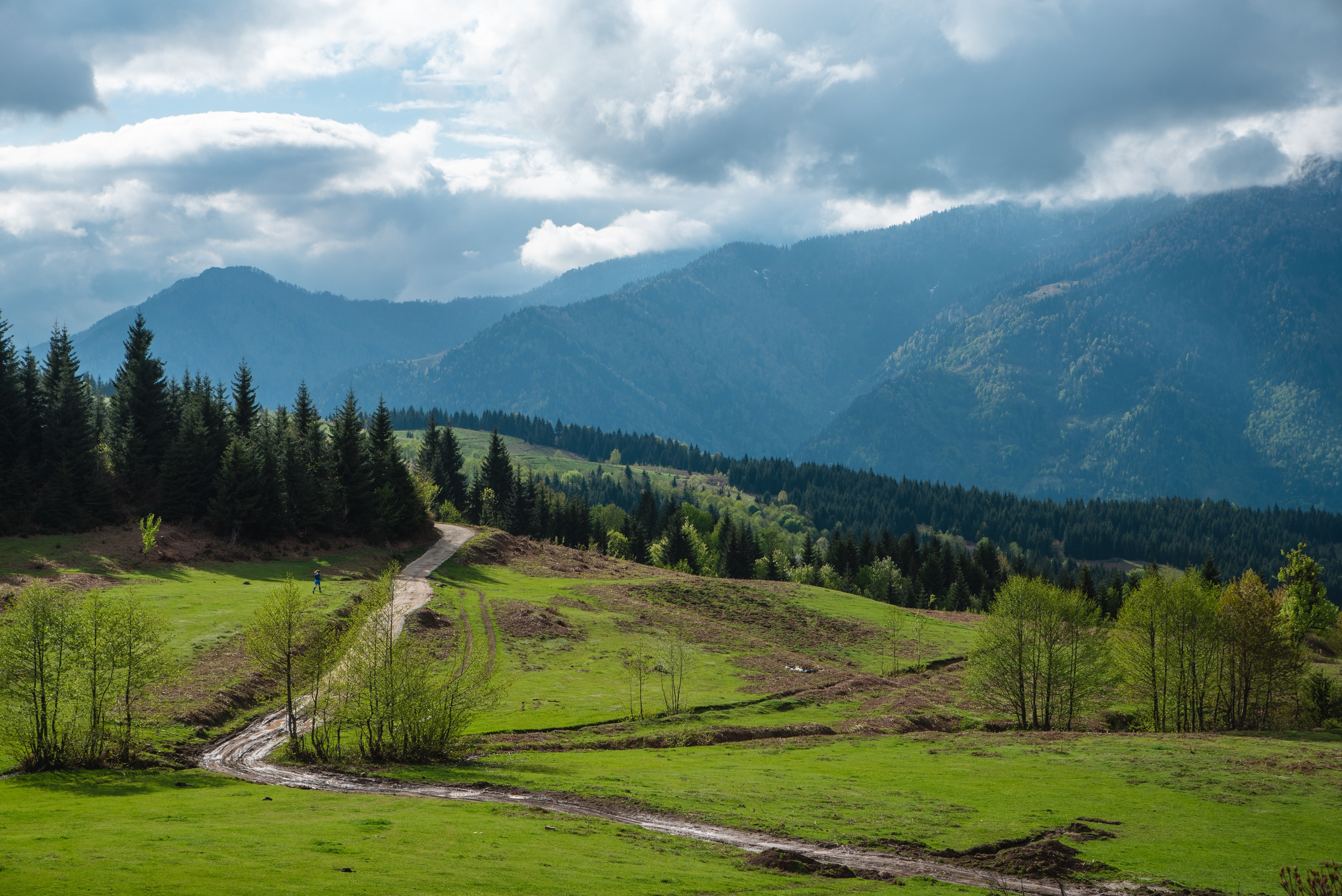 DAO Space. Ekaterina Verbitskaya. Photography