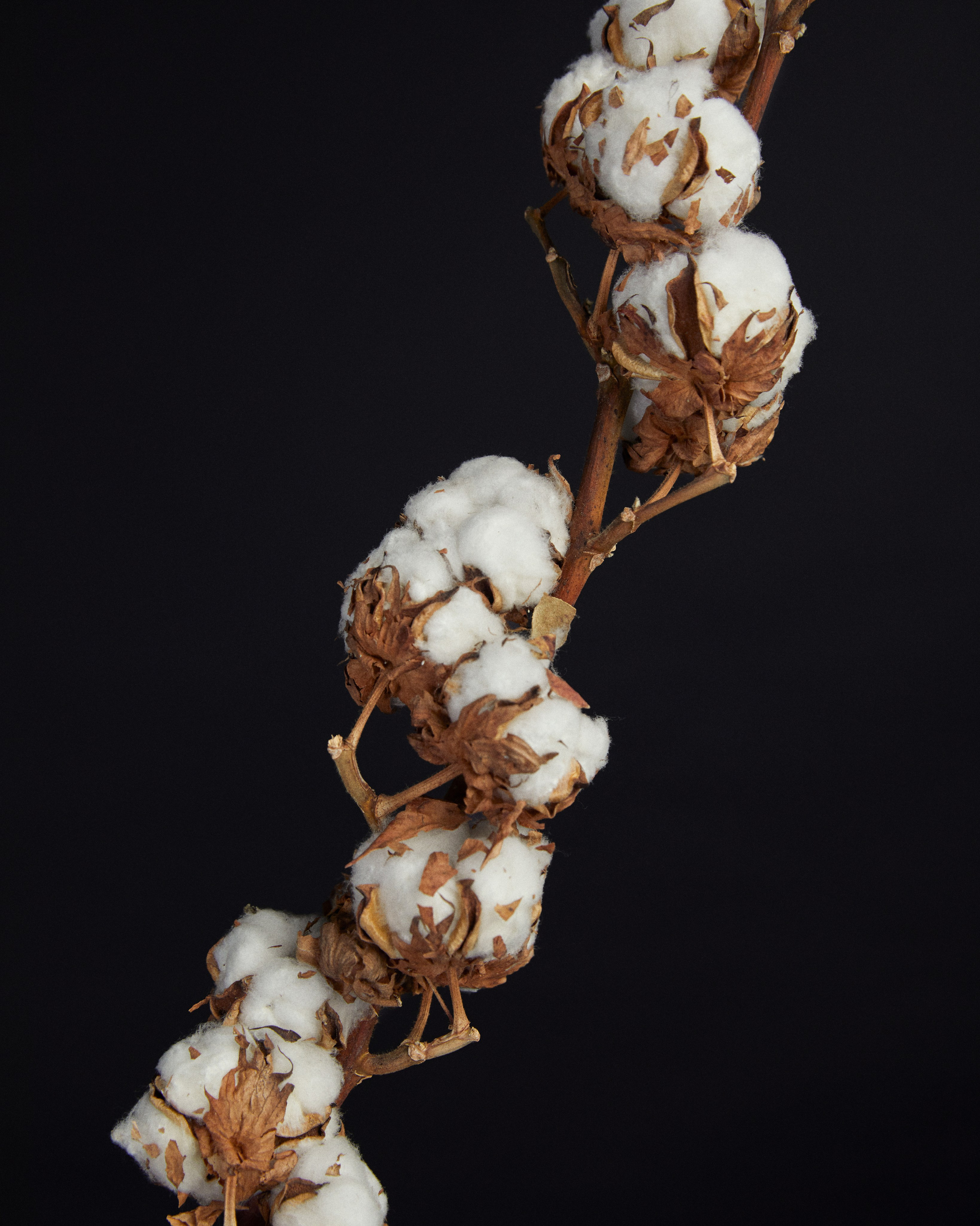 Anna. Фотограф Абдршин Валерий