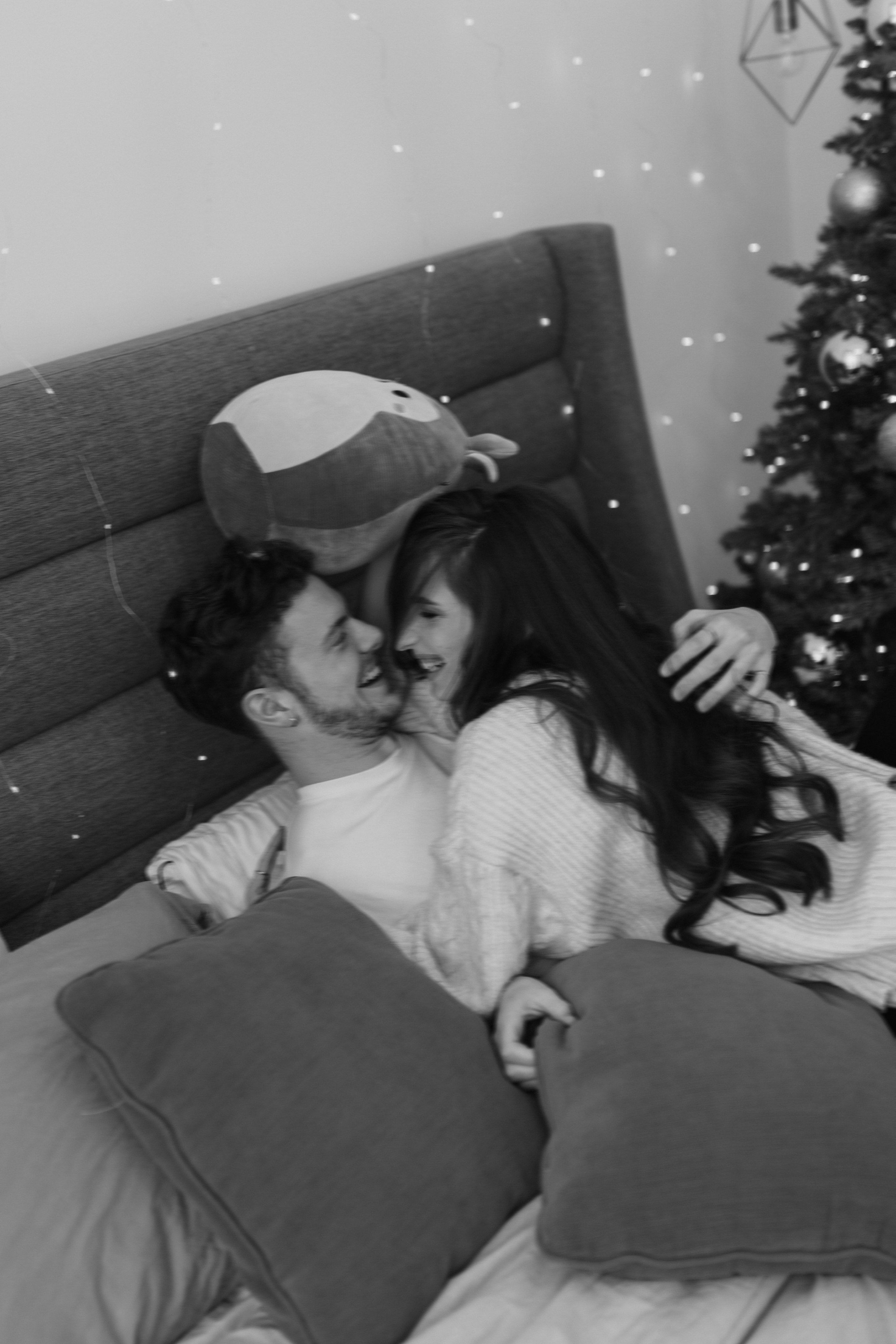 Christmas minis 2025. Home