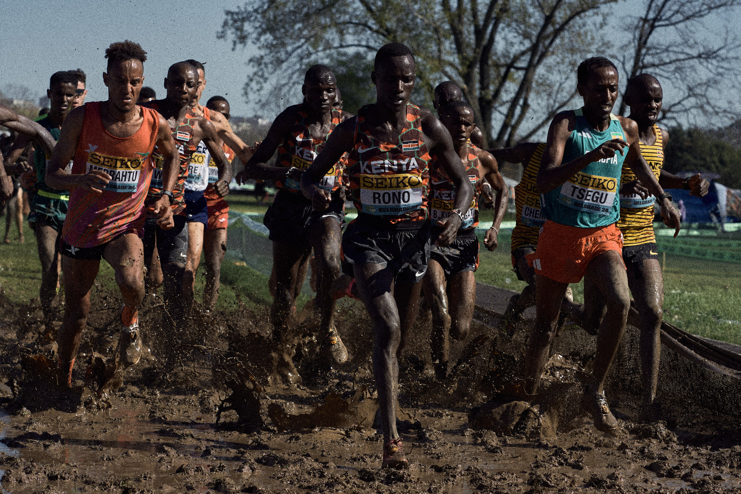 Cross Country Championship 2024 #running. Photographer Evgeniya Dovgalyuk