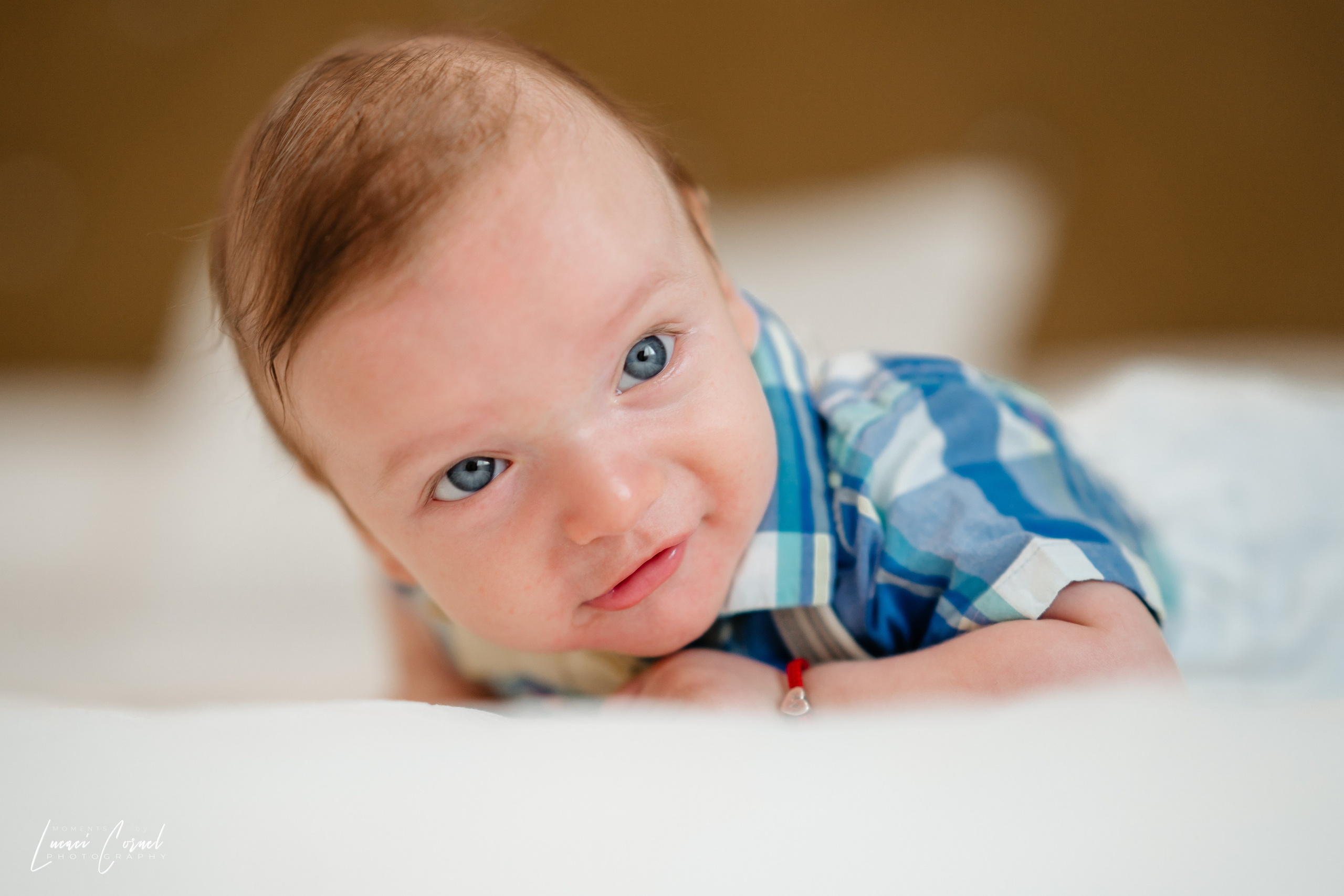 Familie – Amintiri de neuitat. Fotograf de nuntă, corporate, botezuri, majorate și aniversări Roman, Lucaci Cornel