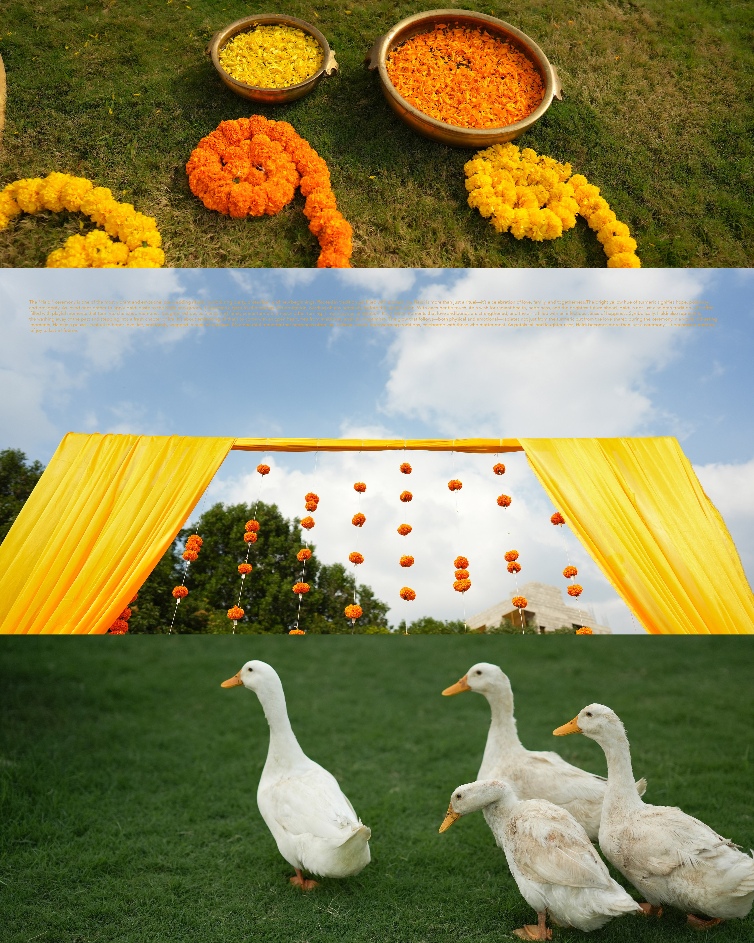 RISHAV|AKANSHA. MET YOUR MATE FILMS