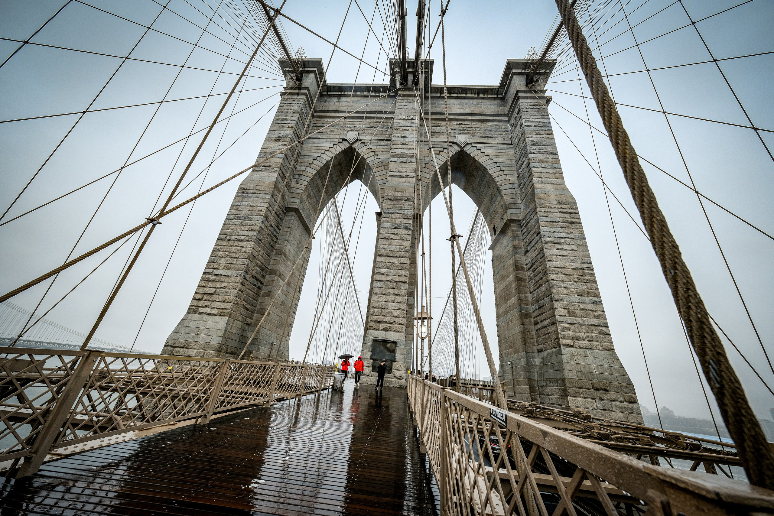 NEW YORK / 2025. Reportage concert portrait photography in the San Francisco Bay Area