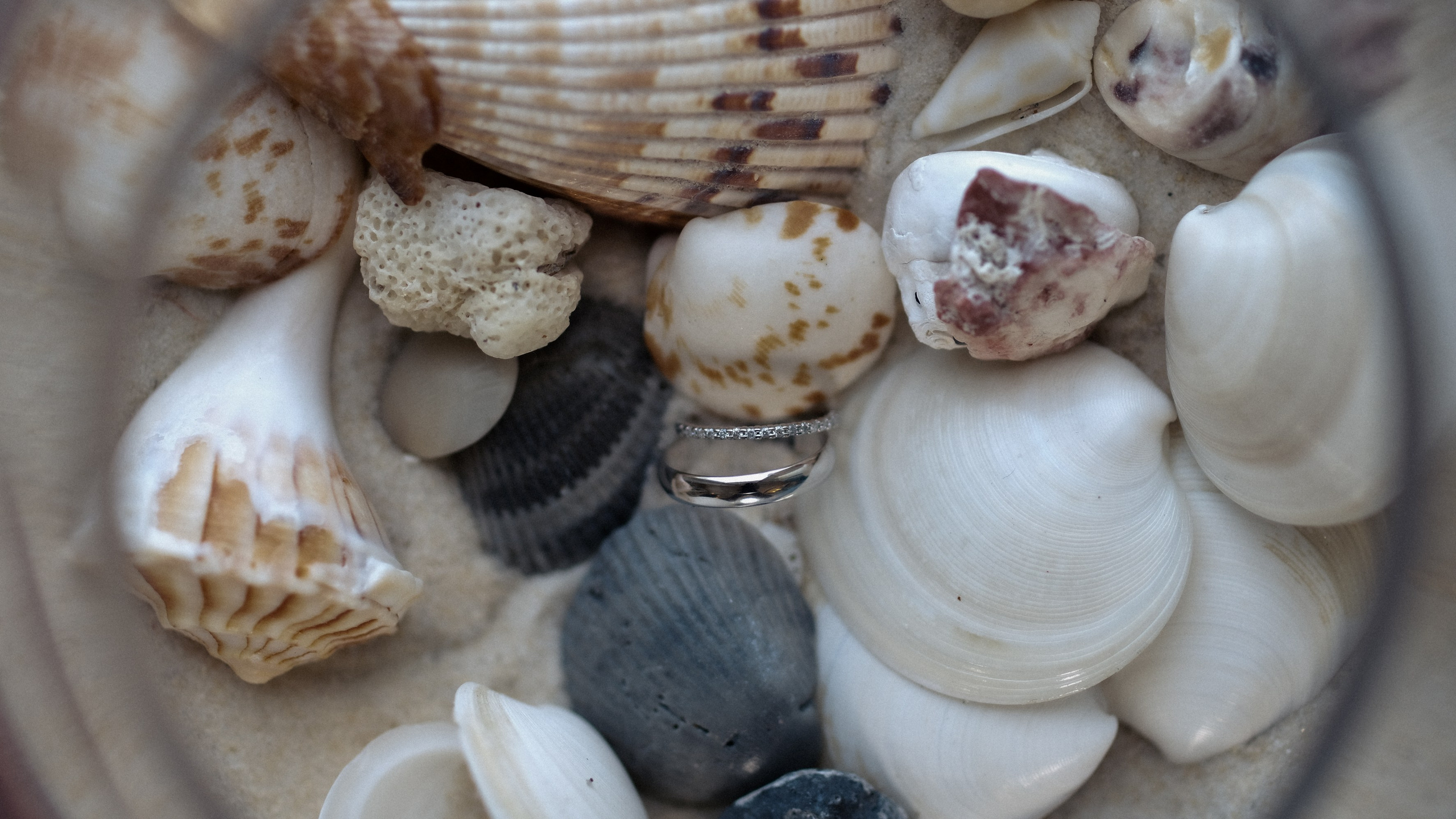 LIV AND OSCAR. Florida destination wedding photographer