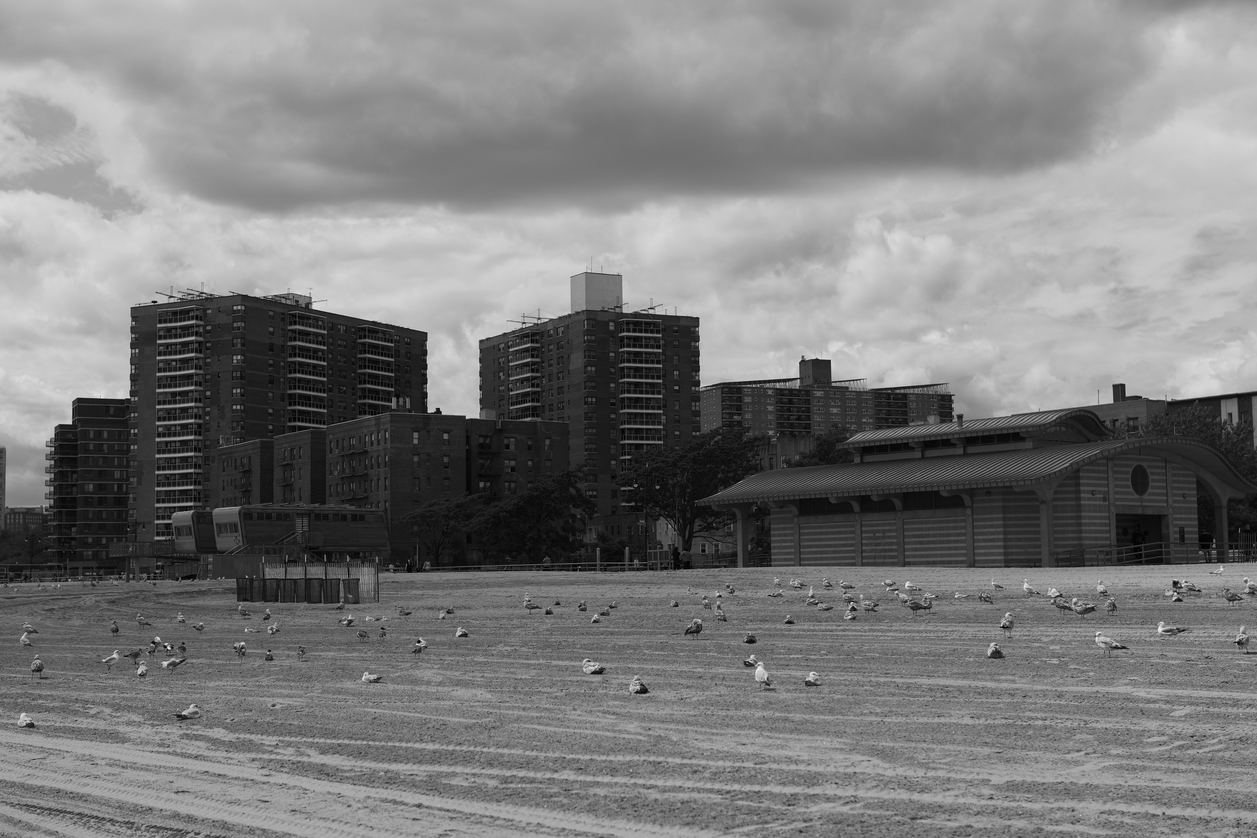 Street съемка. NYC based photographer