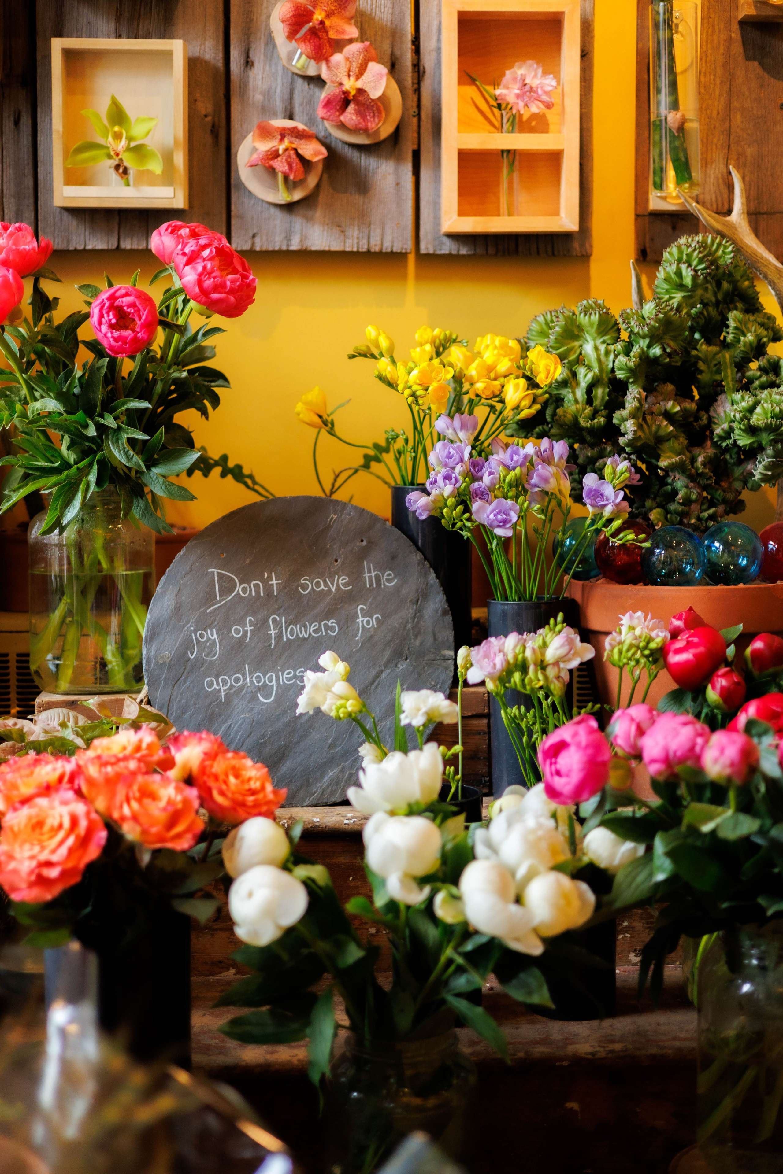 Photographer Ottawa,Branding photo shoot,Small business Photo session. Photographer Ottawa Jane Krasnopolska