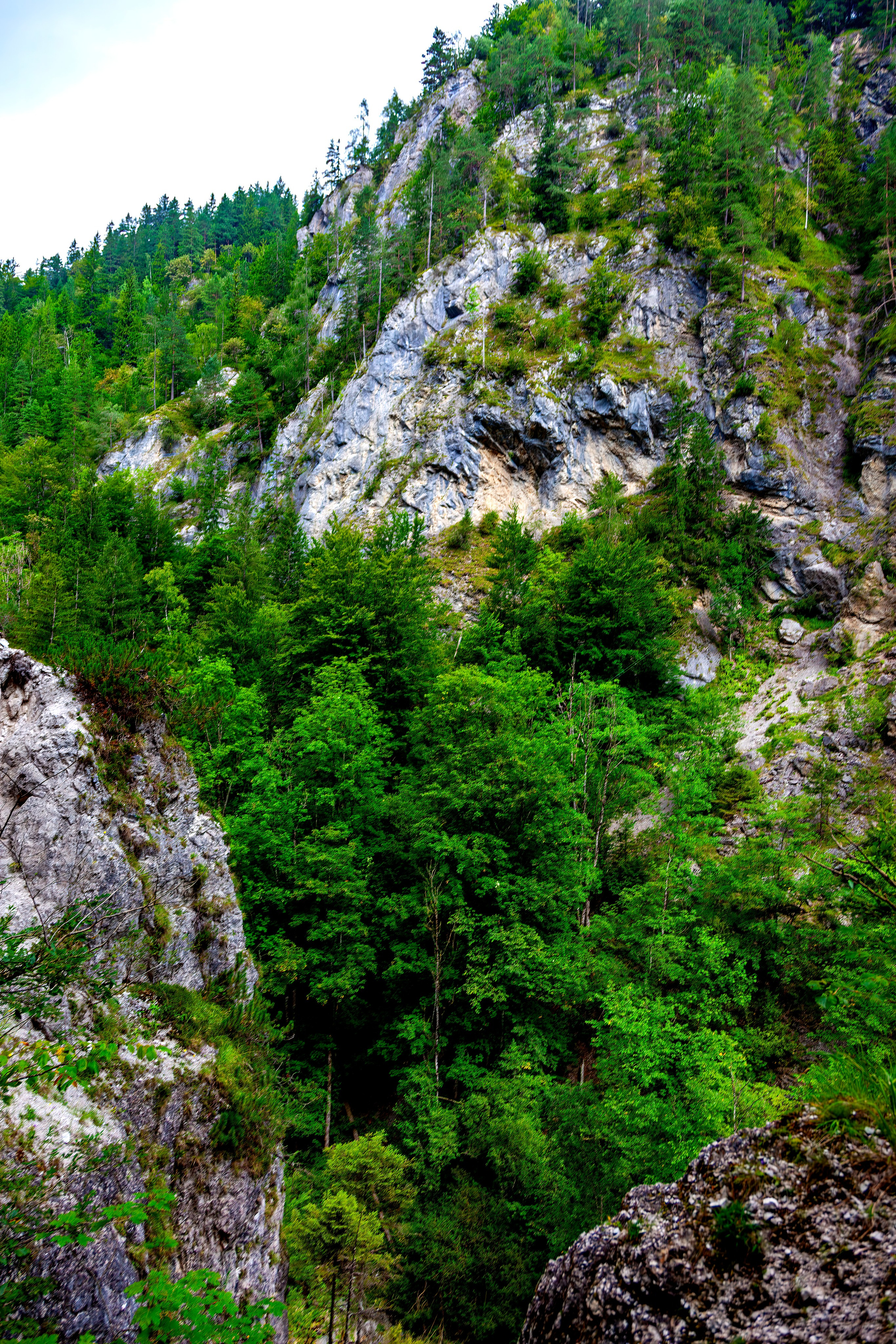 197.Ötscher Base Nature Park.Austria.21.8.2025. Путешествия в формате 360......