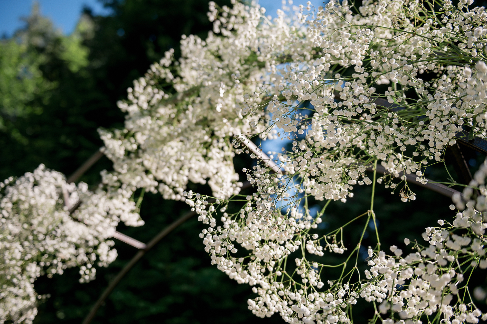 Наталья и Евгений. Свадебный и семейный фотограф Екатерина Шестакова