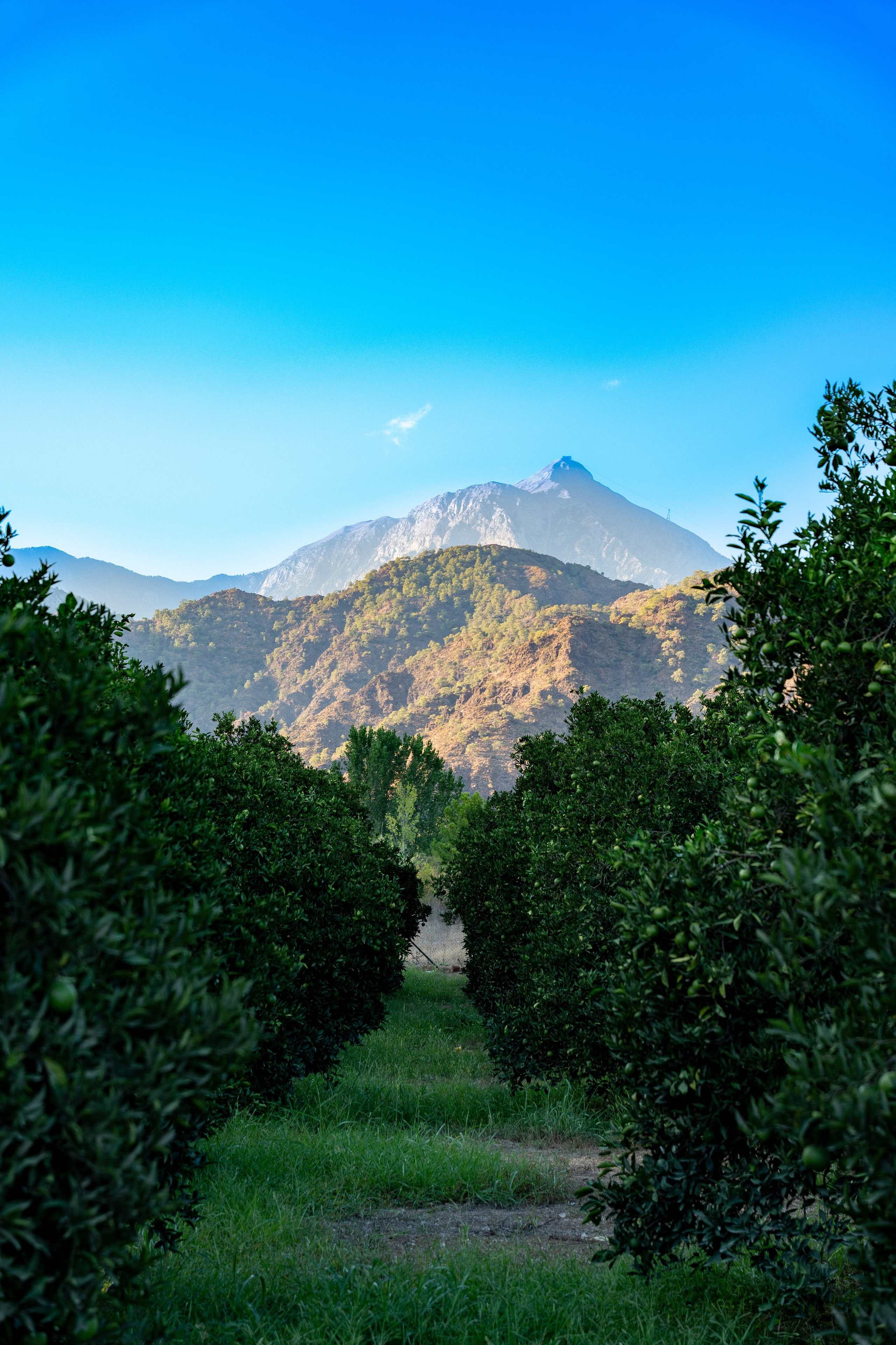 TURKEY & NATURE. UNRATED PHOTO