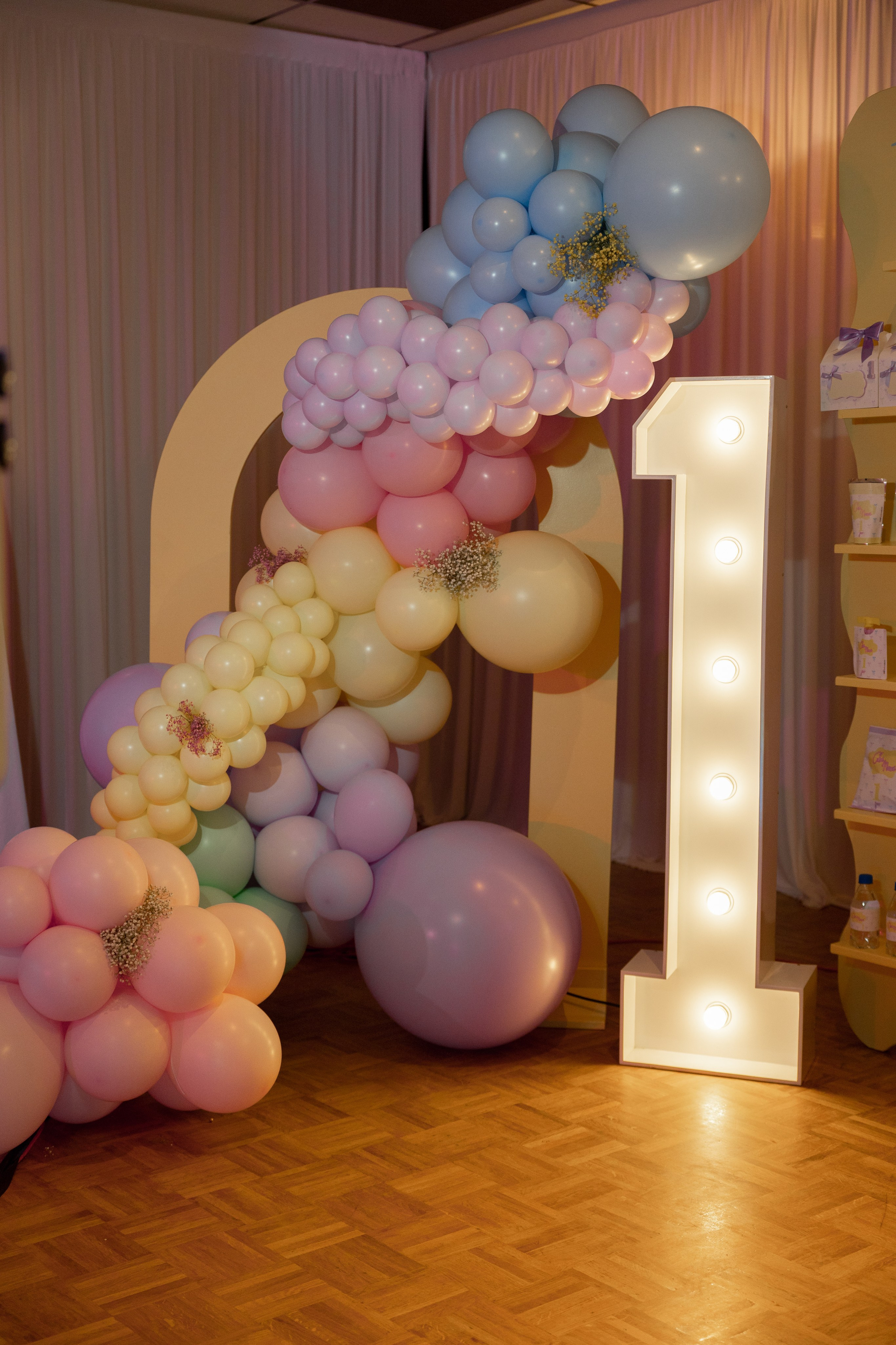 1 st Birthday. Portrait and Family Photographer in Netherlands