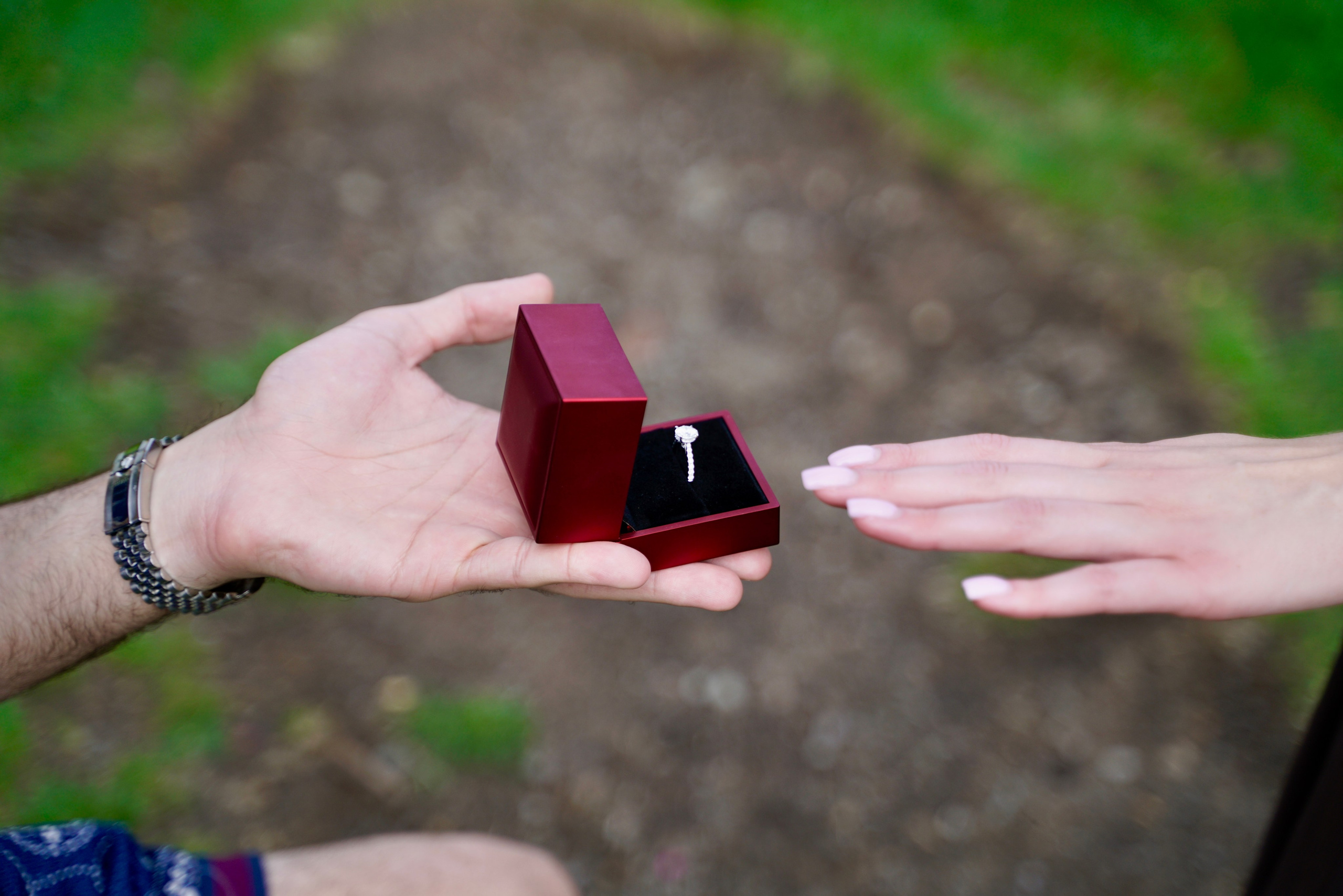 Allen and Alexandra. Stefanovich Photography | Miami, FL
