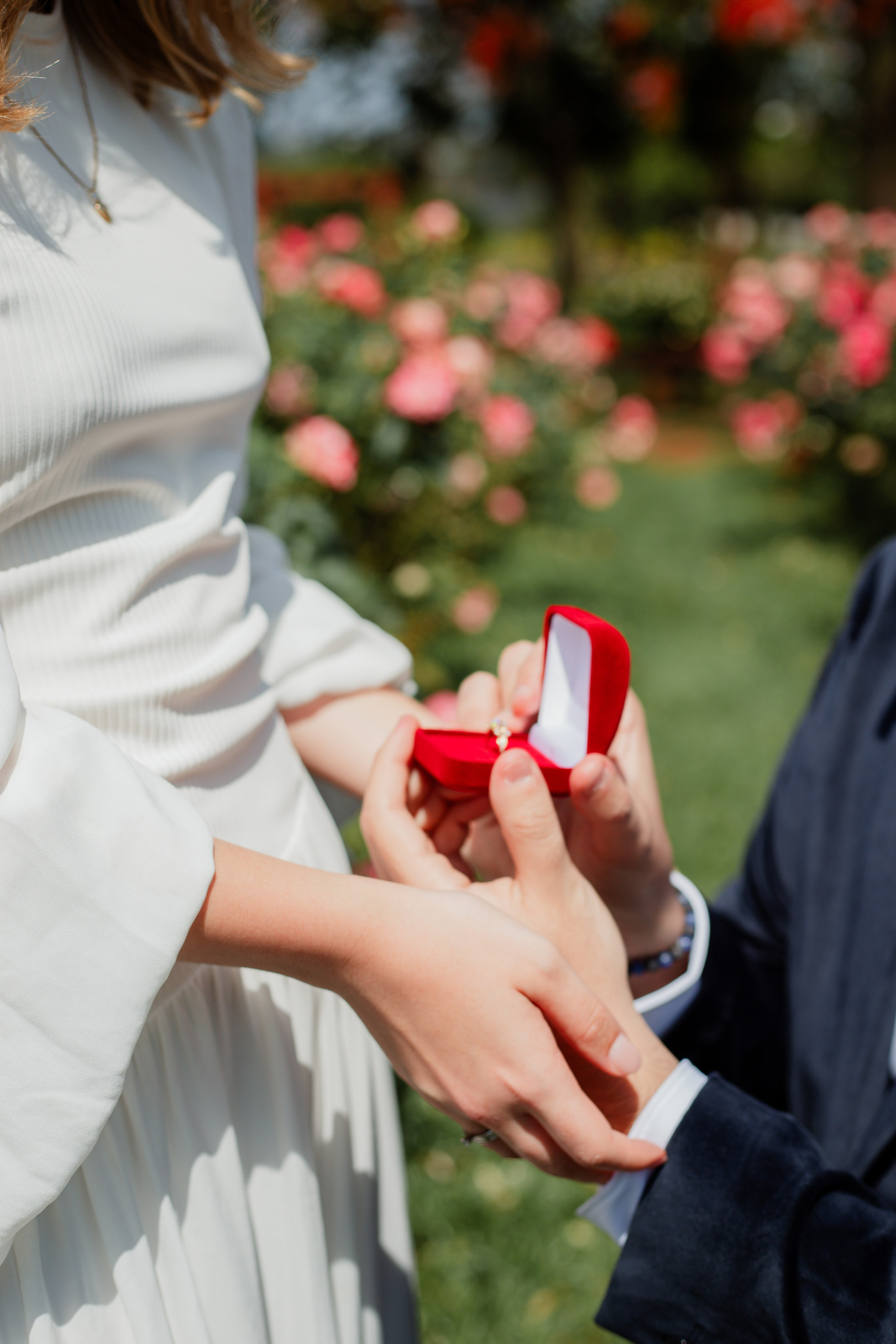 Pedido de Casamento /Bloemen Park. Joyce Maria Fotografia | Fotógrafa em Holambra