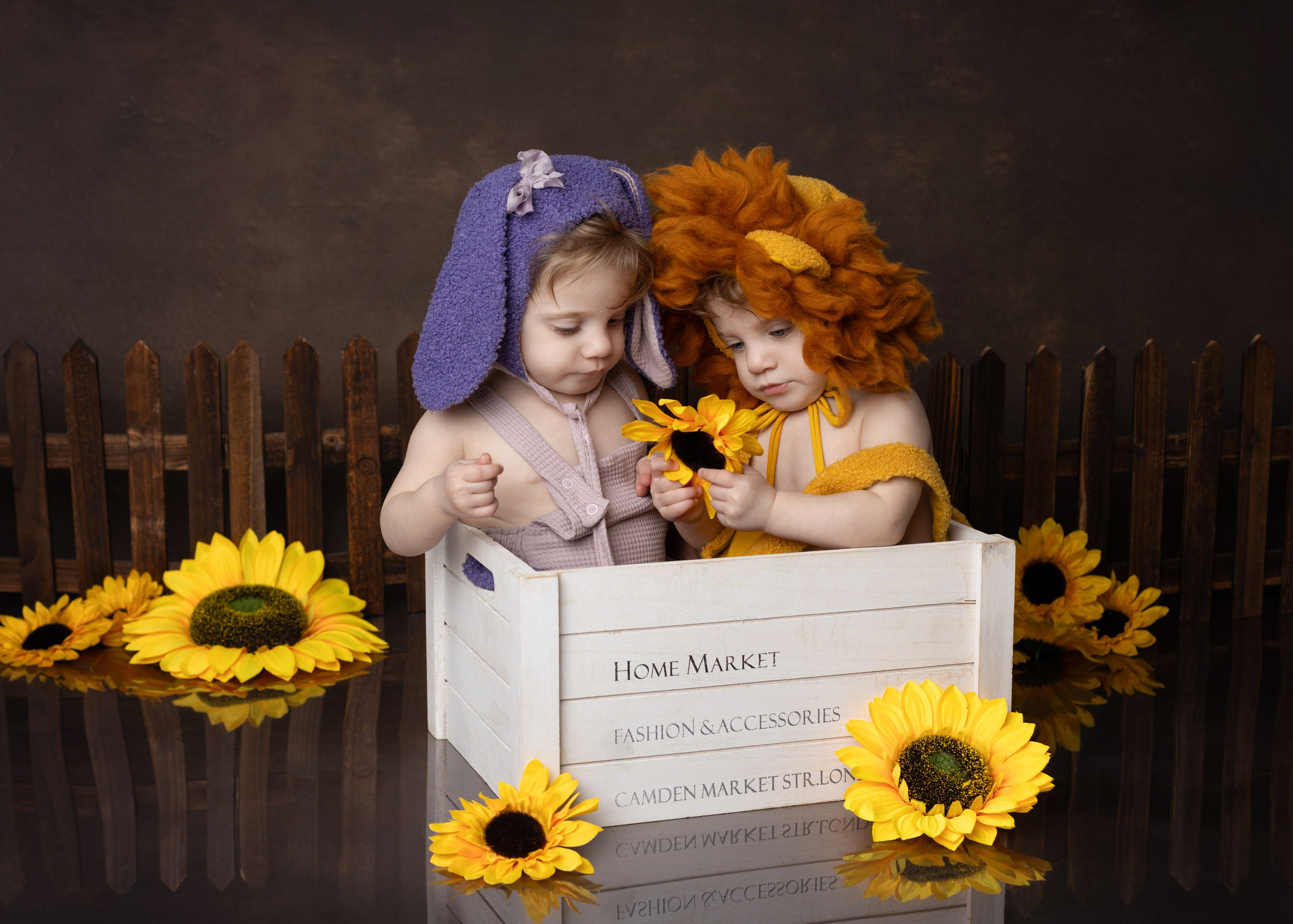 Каталог 2 Годик. Катерина Шустерман — фотограф Newborn, семейный в Израиле