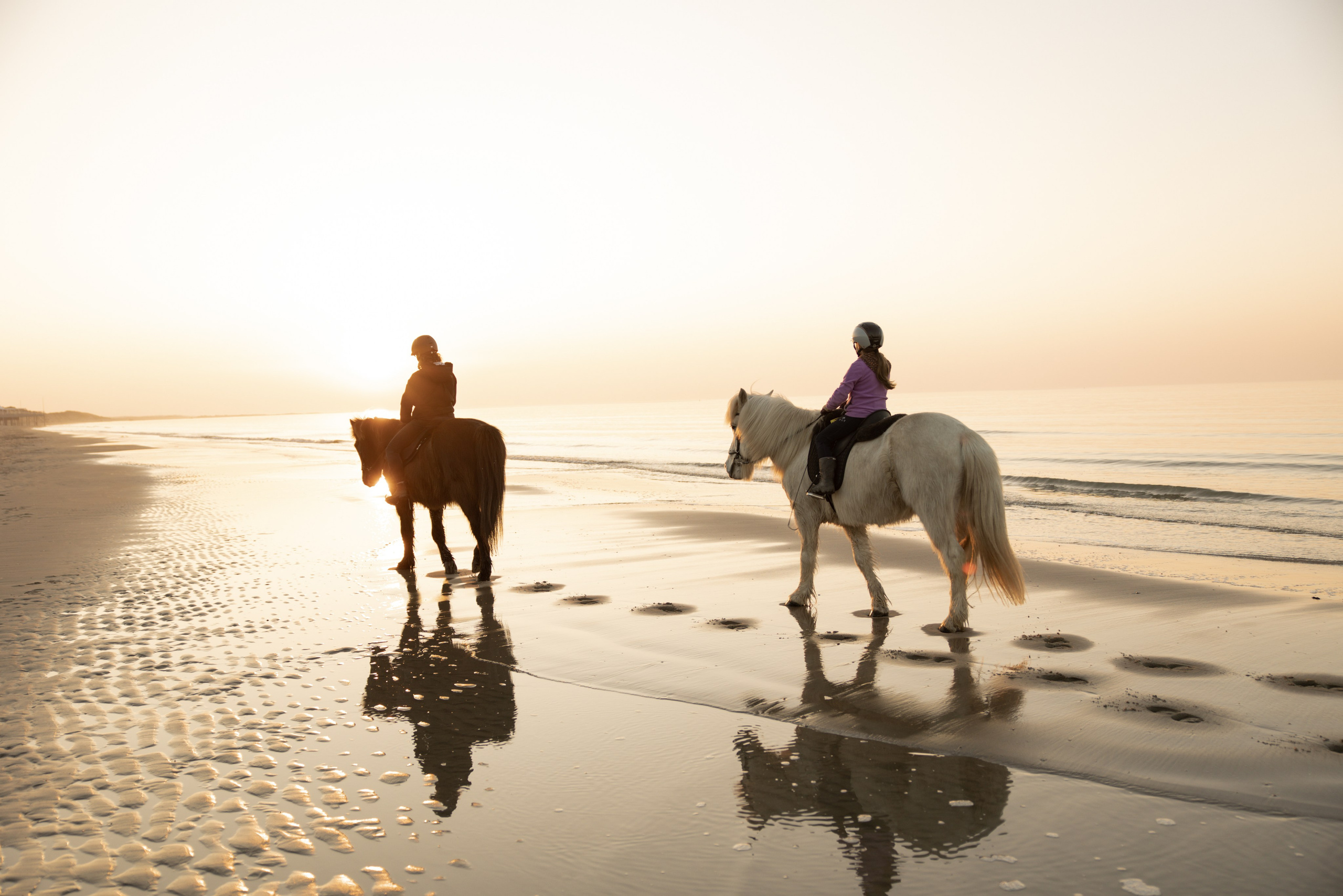 Diana. Portrait and Family Photographer in Netherlands