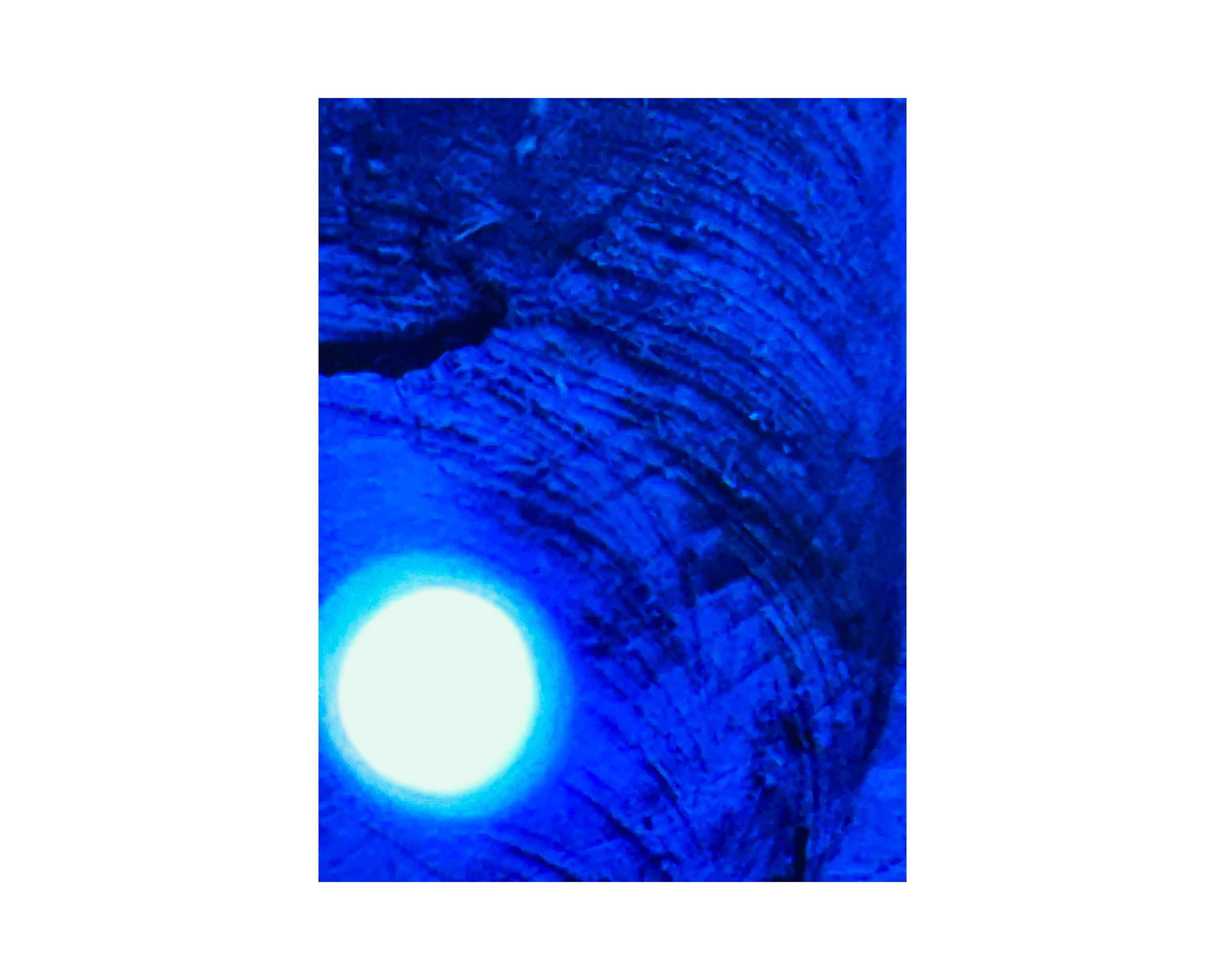 Nature from Exaggerated Worlds. Ekaterina Tsurkina-Appina Photography Canada