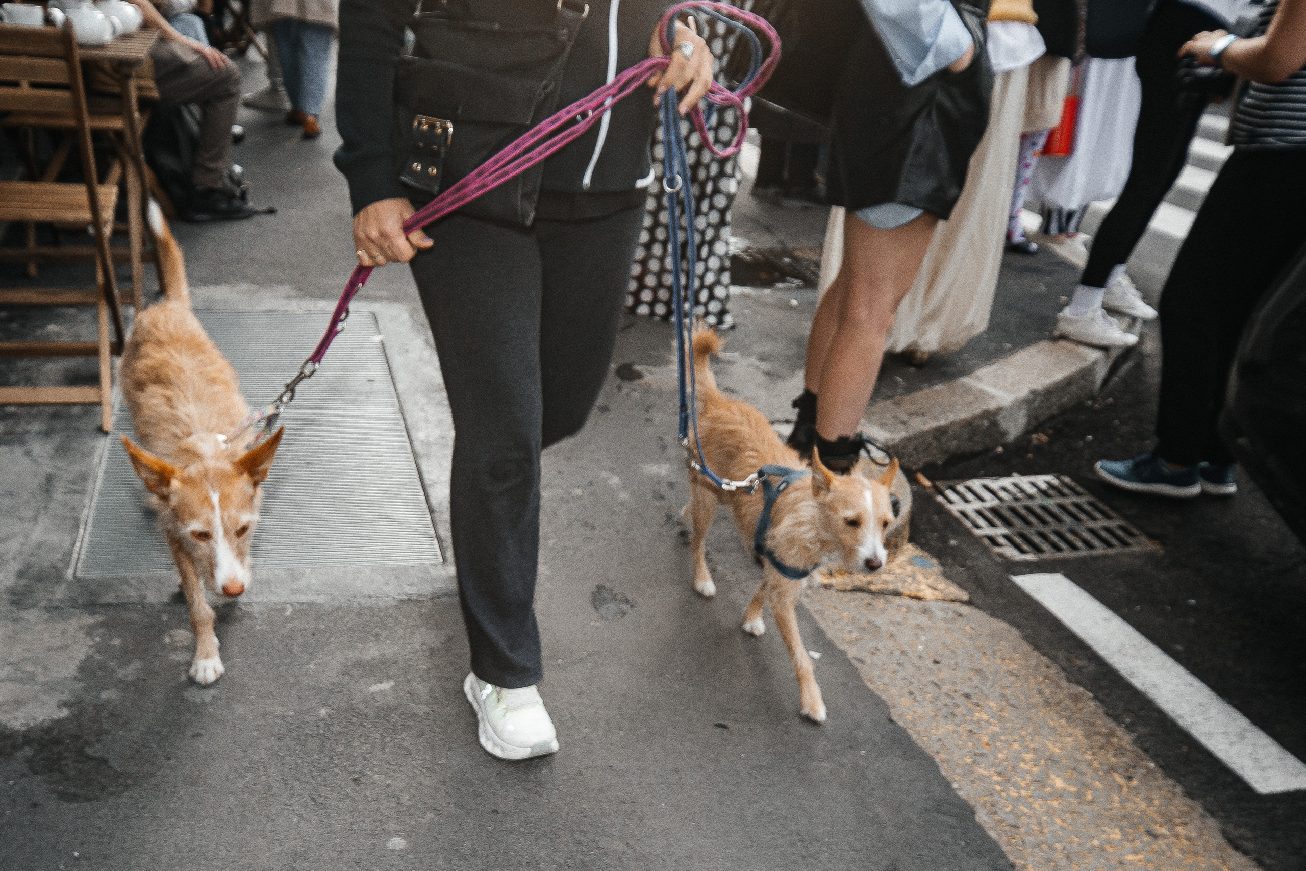 Prada ● Moschino. Valokuvaaja Lahti, Helsinki Elena Salonen