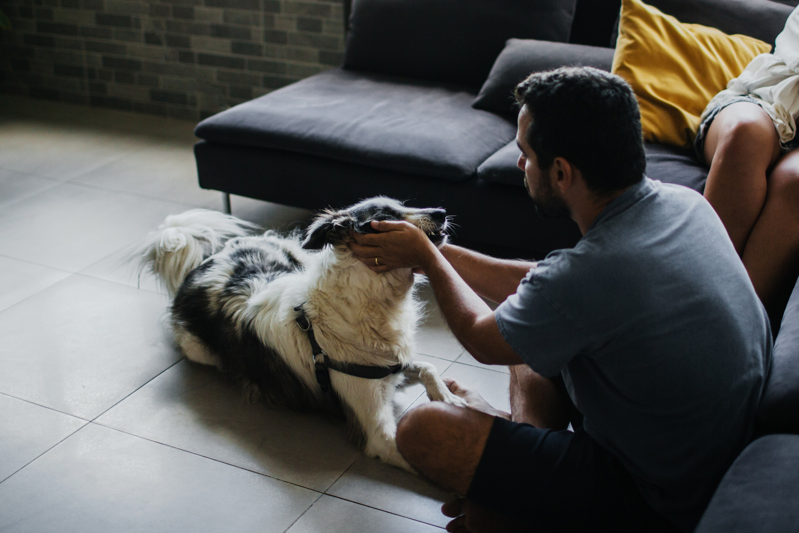 Home story. Family photographer in Israel