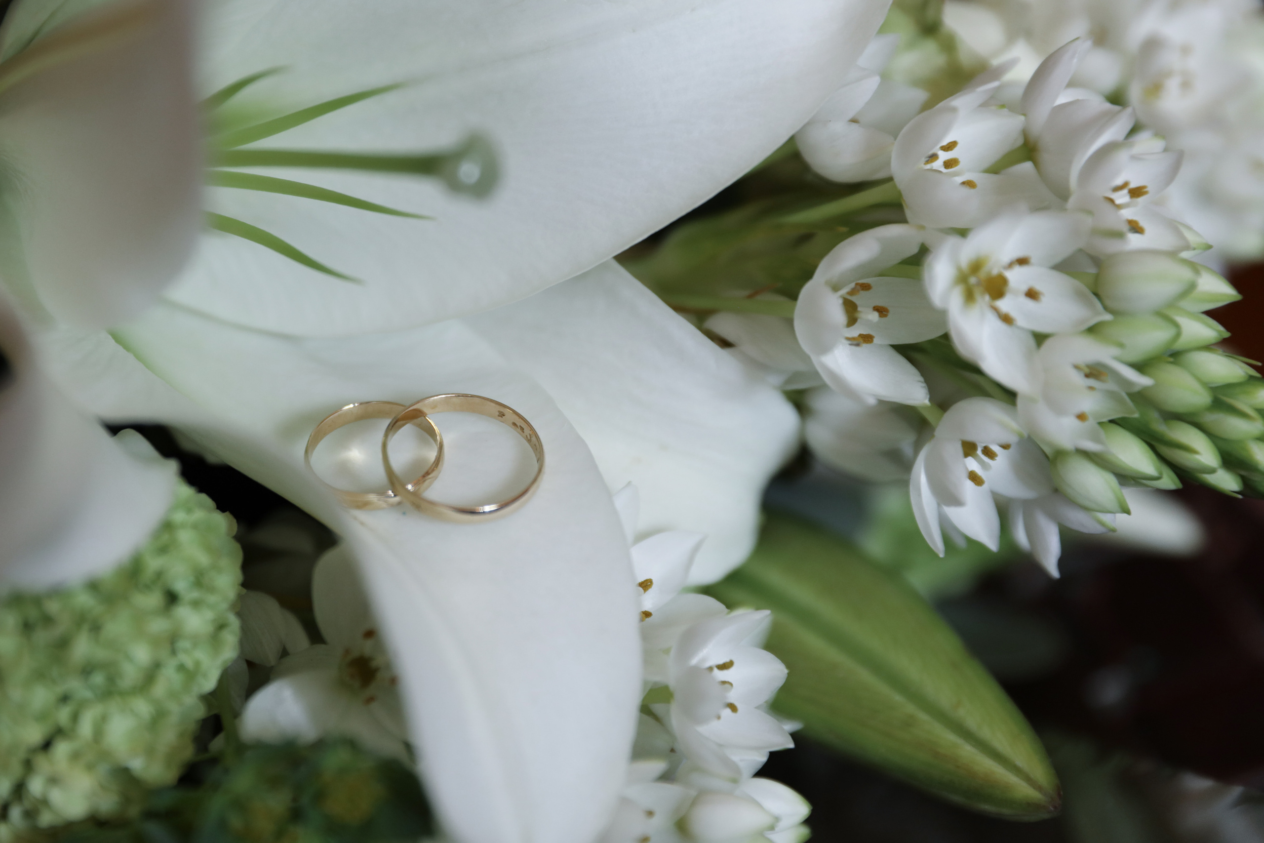 Boda. Fotografía de Eventos, Embarazo y Familiar en Pirineos