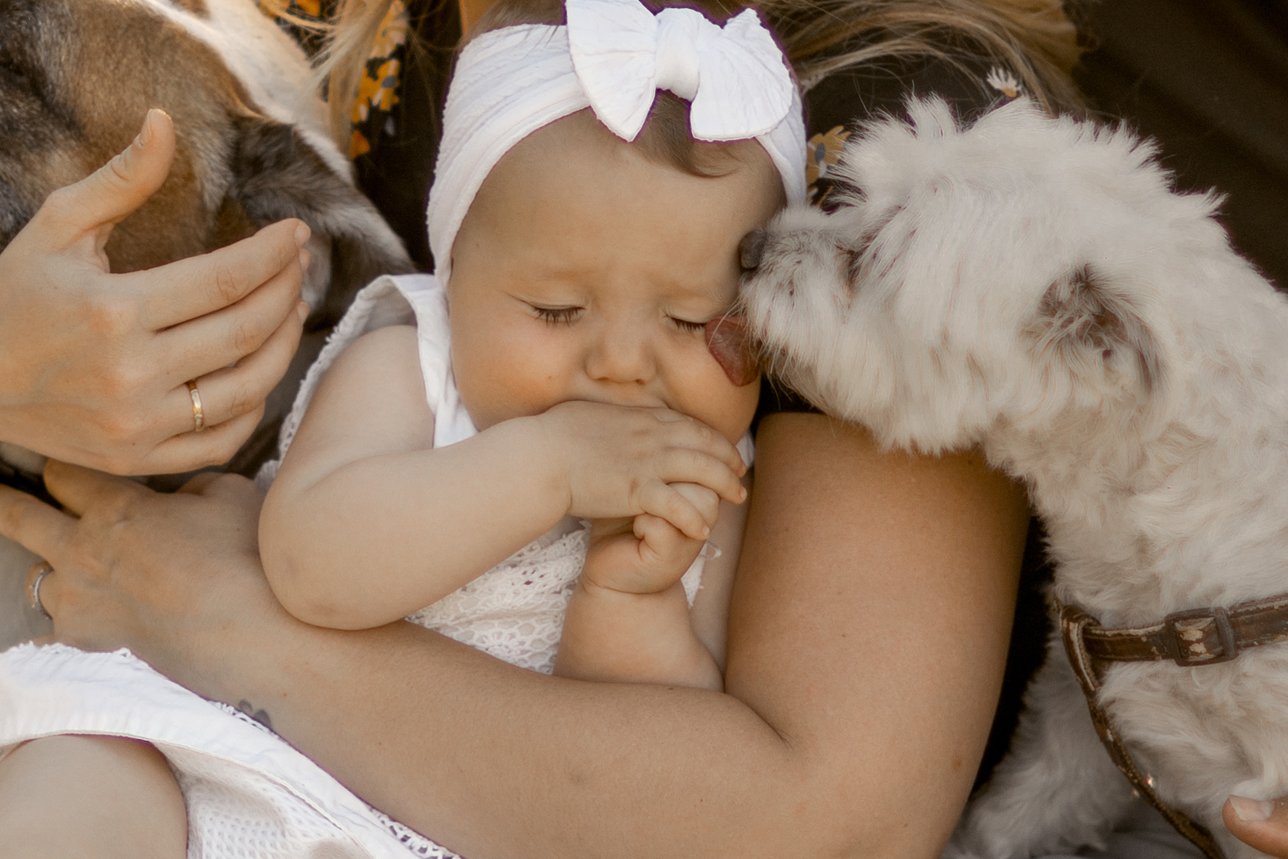 Familiar e infantil. Fotografía de Eventos, Embarazo y Familiar en Pirineos