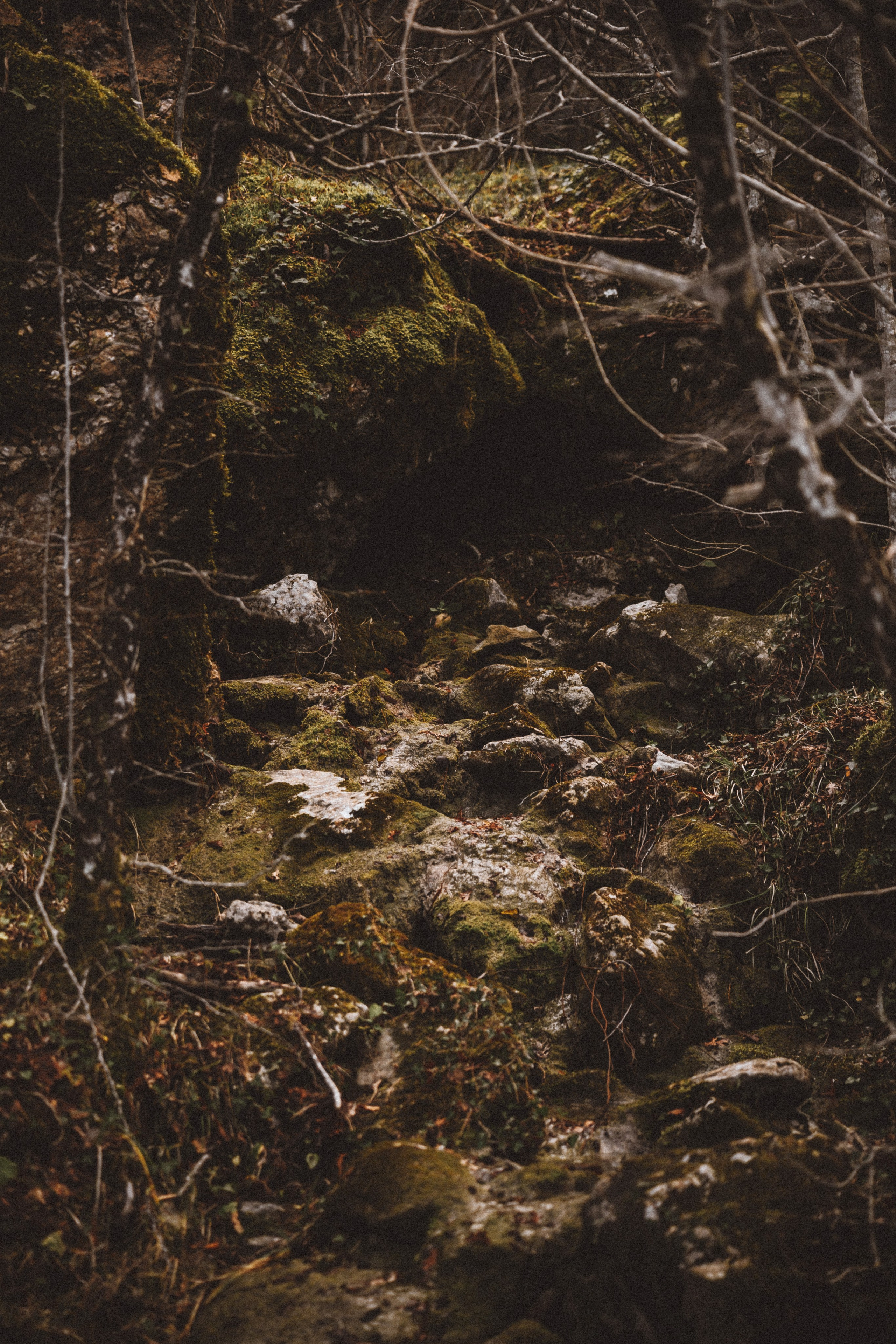 LANDSCAPE. PHOTOGRAPHER|VIDEOGRAPHER MONTENEGRO