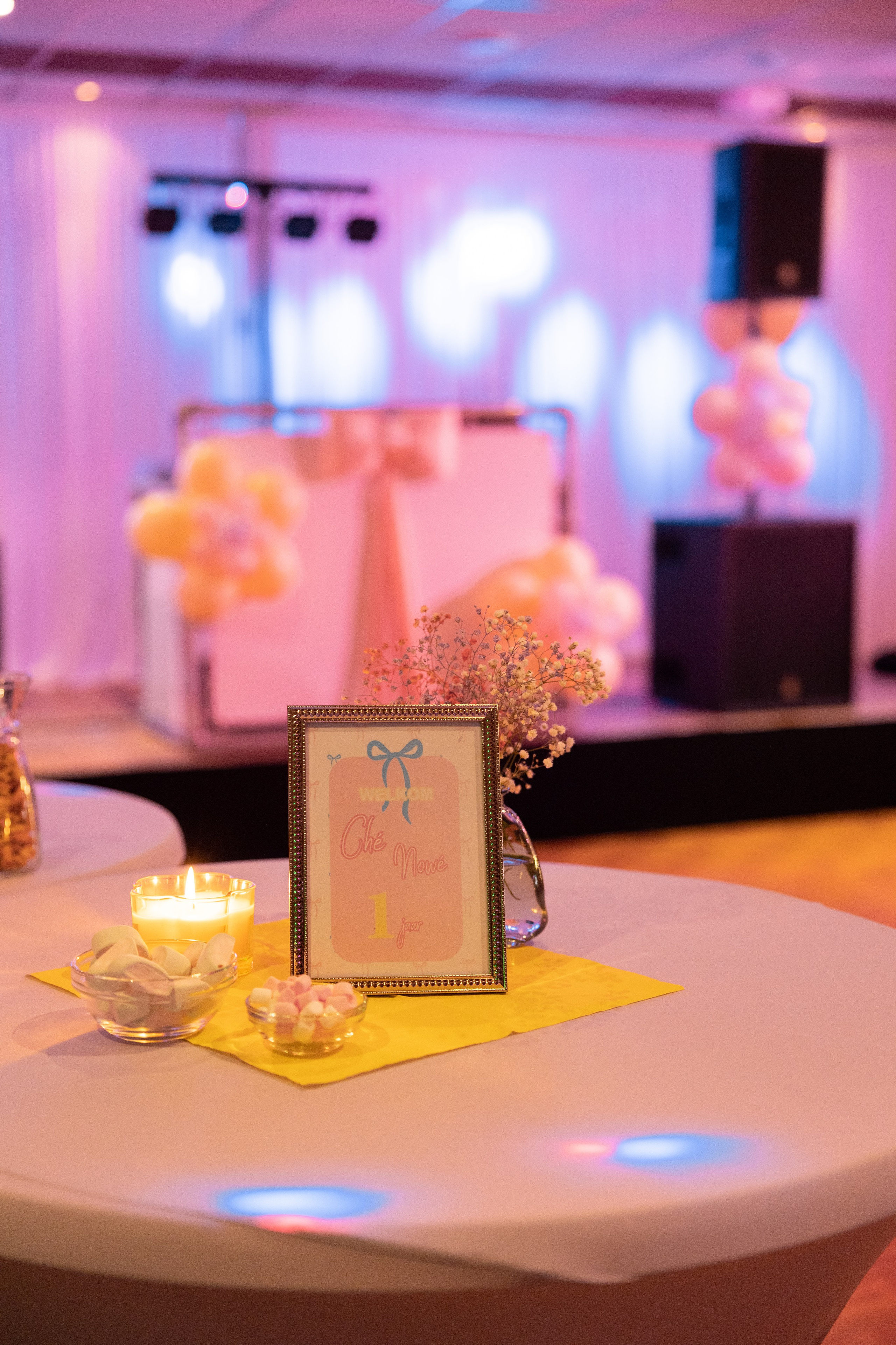1 st Birthday. Portrait and Family Photographer in Netherlands
