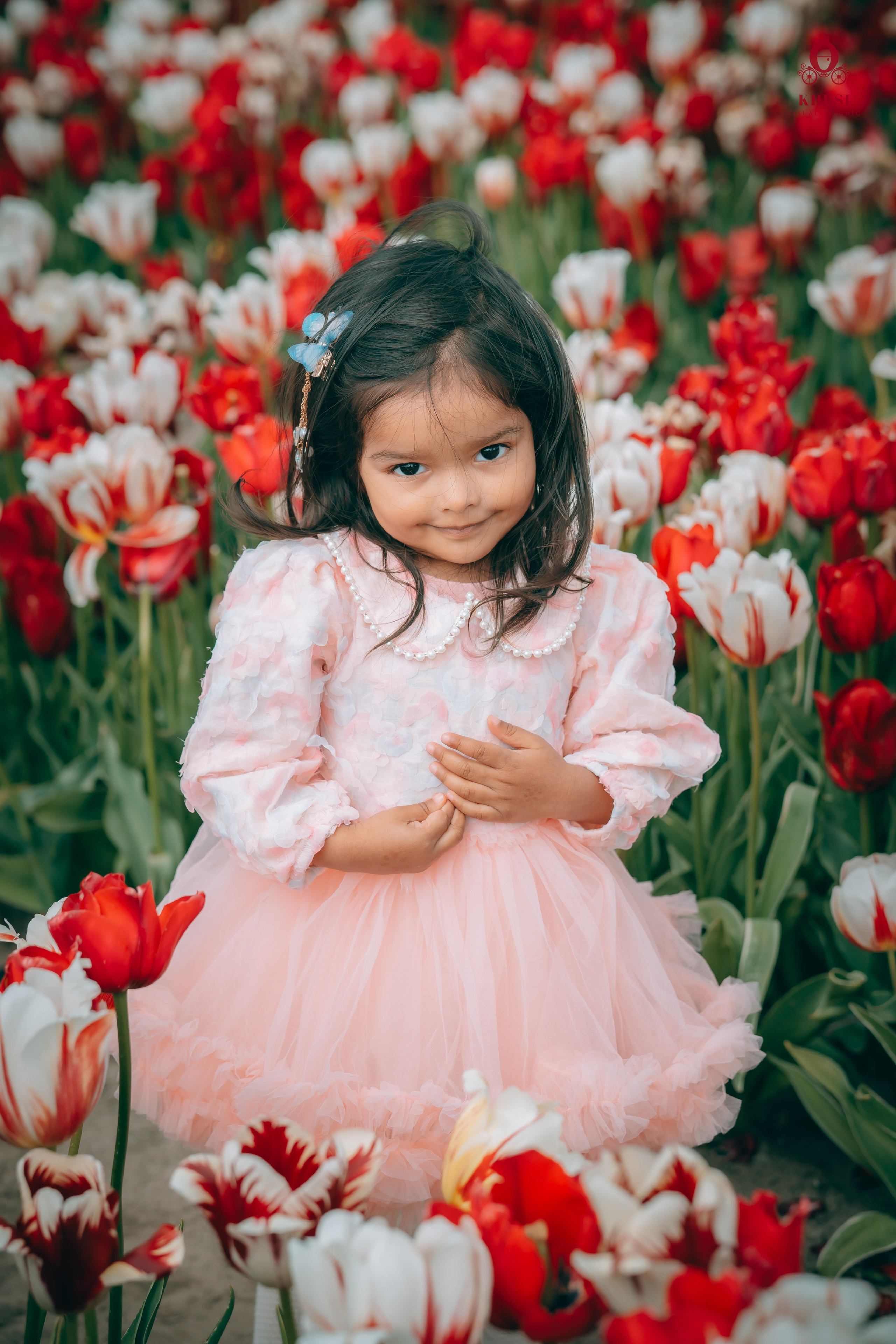 A girl kid standing in a white and red tulip flowe field in netherlands