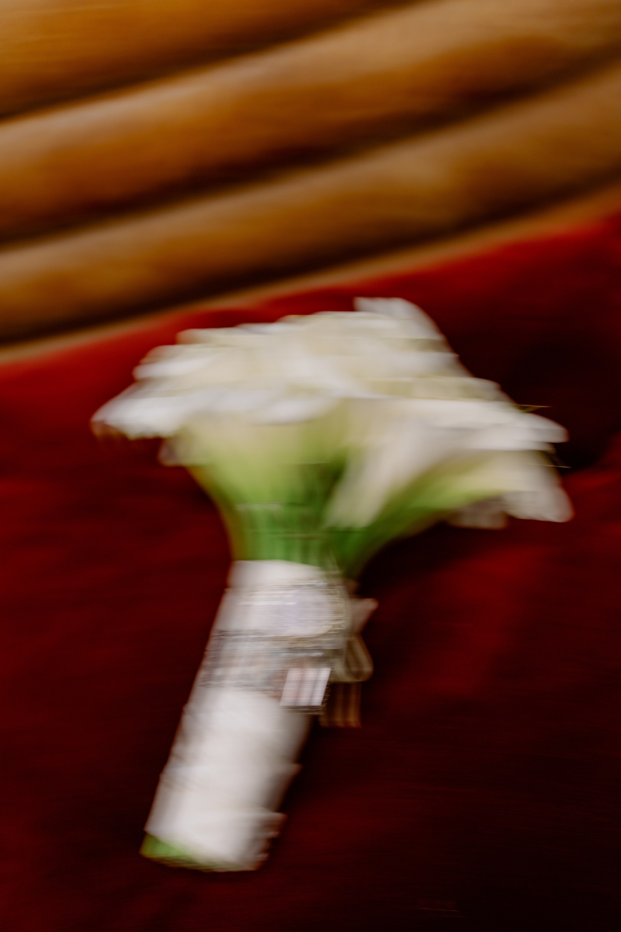 Dayna and Douglas. Wedding photographer and videographer New York | New Jersey