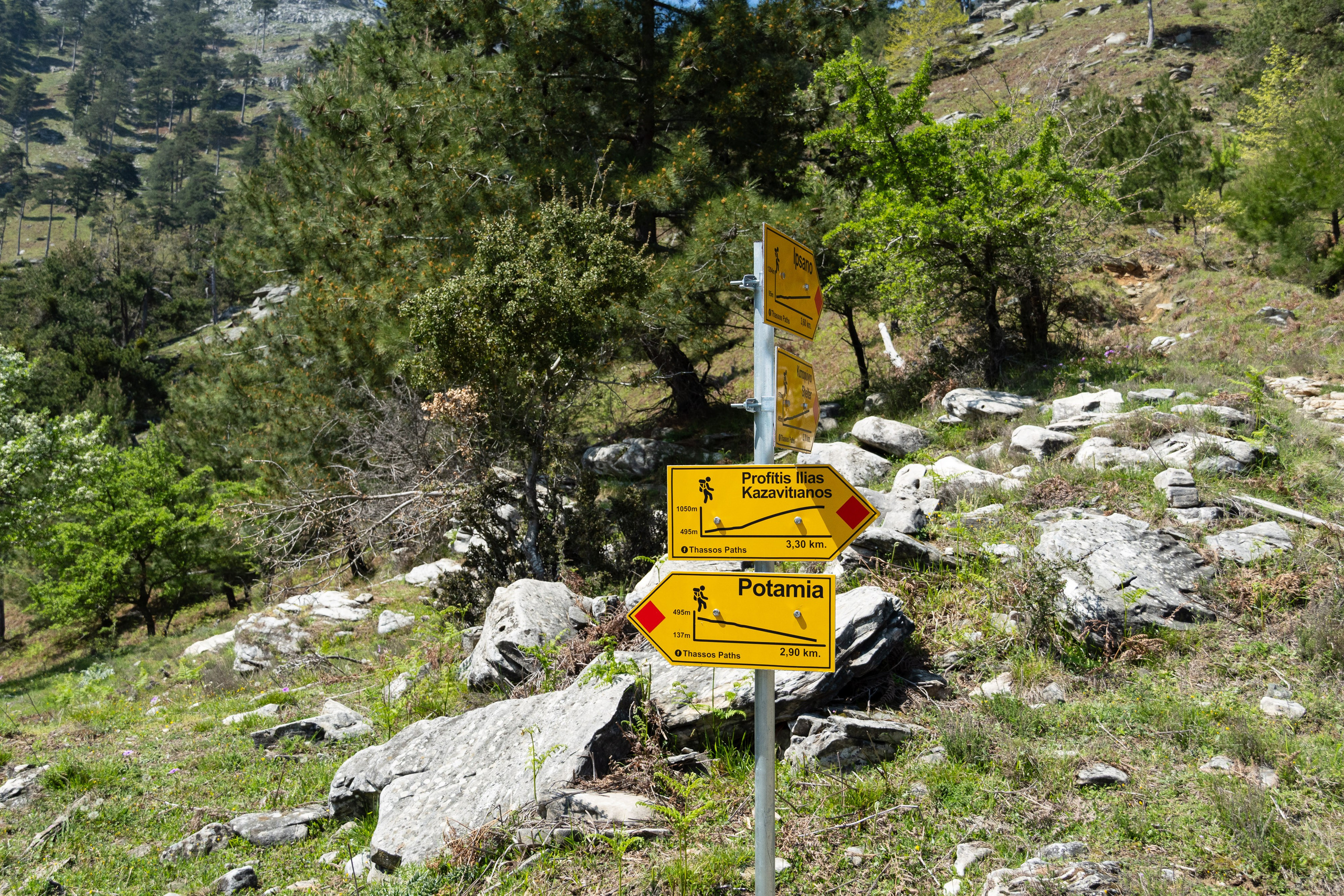 Thasos 2025. Fotografiideplacere.net
