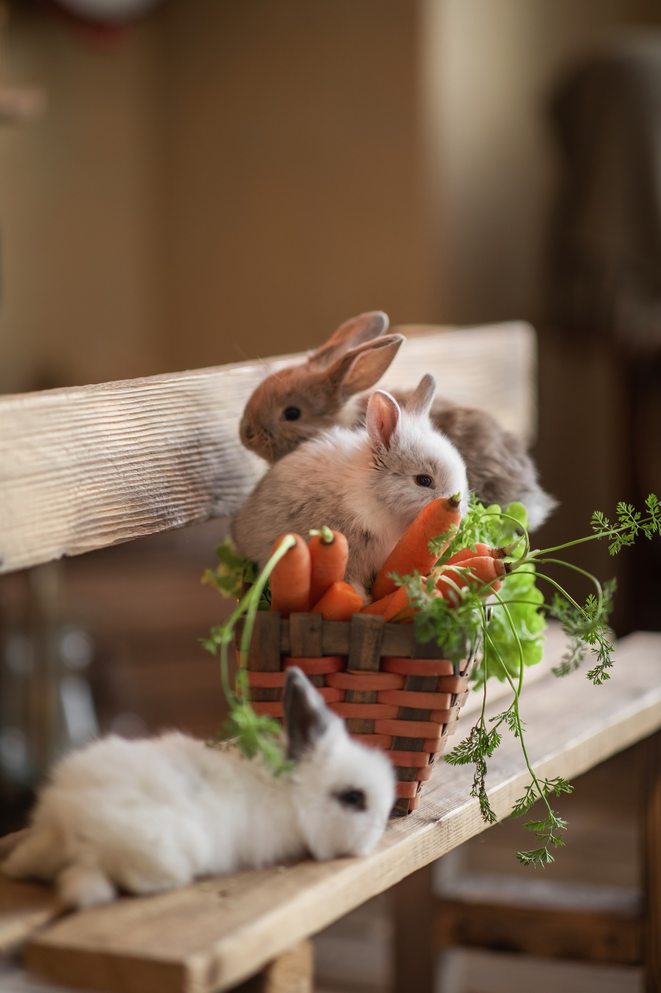 Maxim si Nicolae. N.D.photograph - fotograf de familie și portrete în Republica Moldova