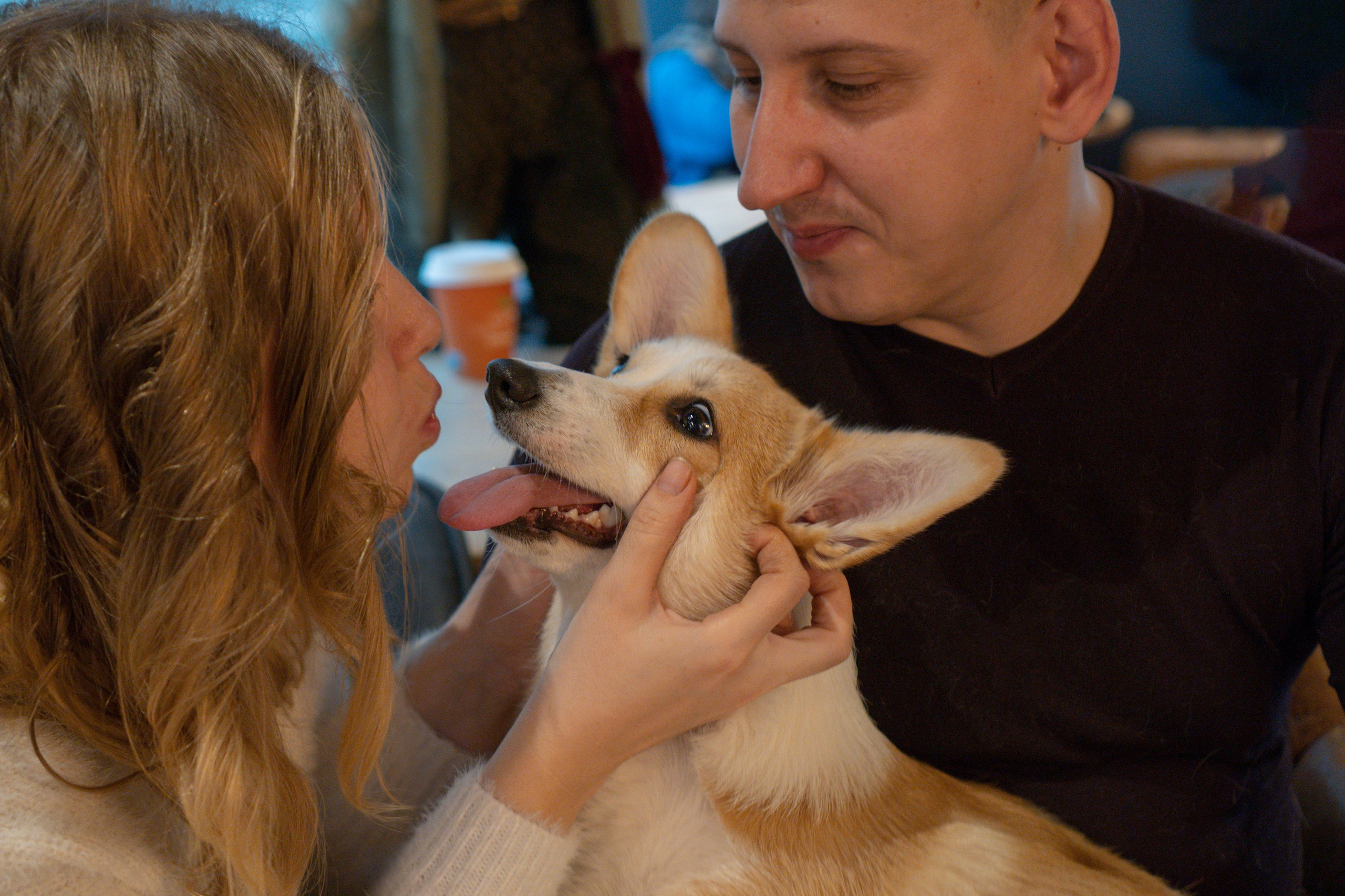 Maarika, Jegor and their Luna, Pembroke Welsh Corgi. Kat Laisaar — Pet photographer in Tallinn