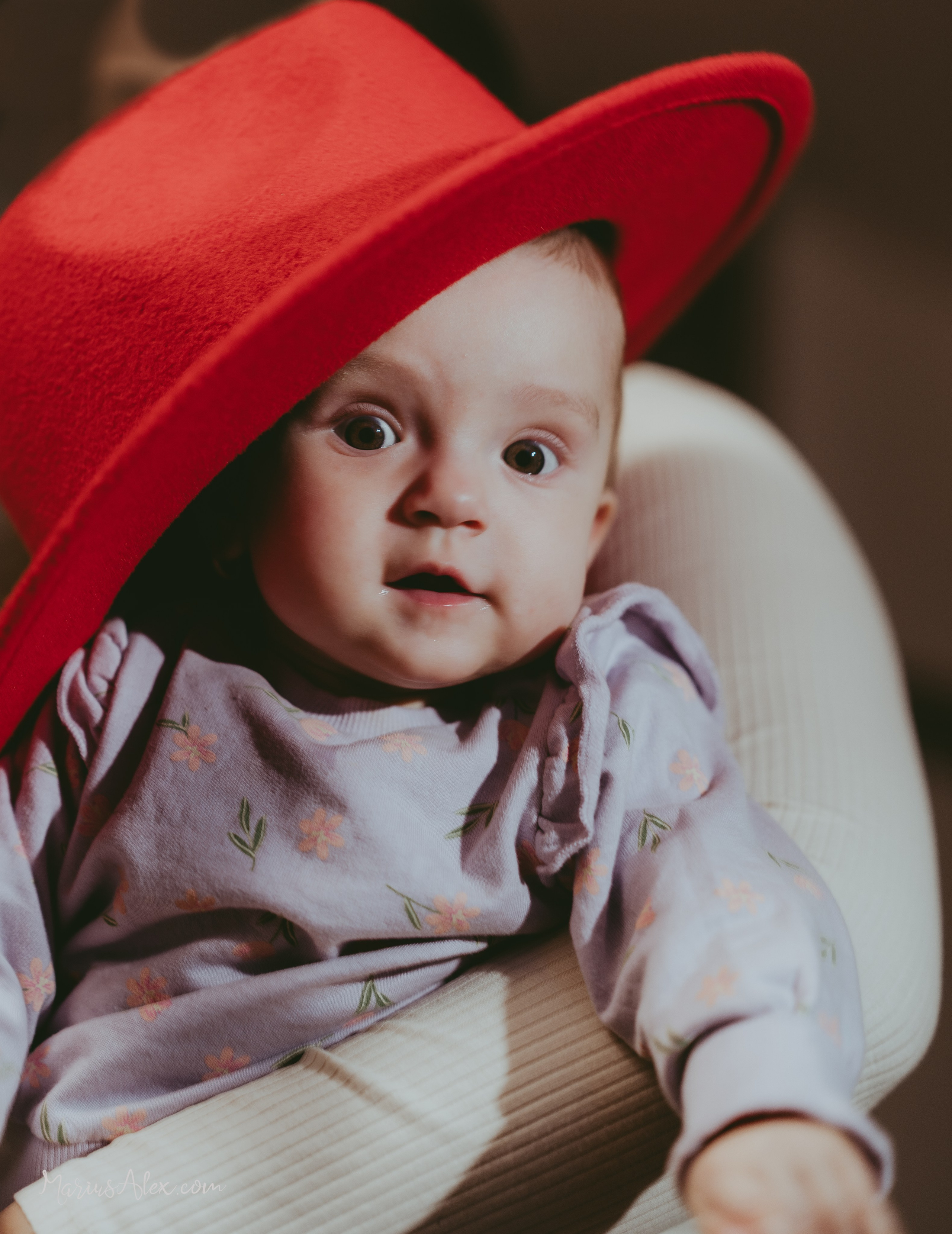 Individual Studio. Marius Alex fotograf de eveniment si portret din Suceava