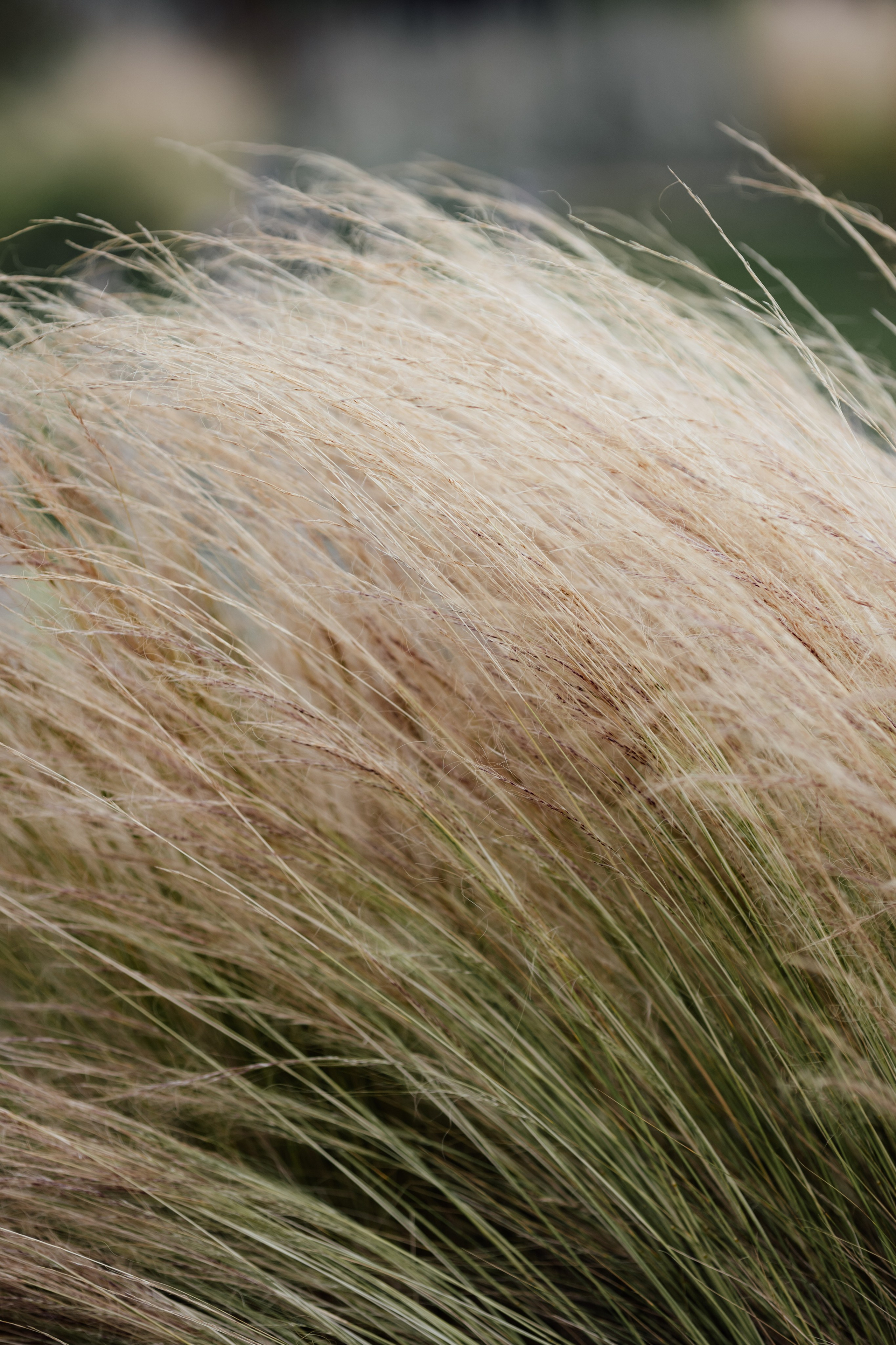 Limekiln, East Sussex, UK. 2025. Timeless Wedding & Event Photography — based London, working across Europe