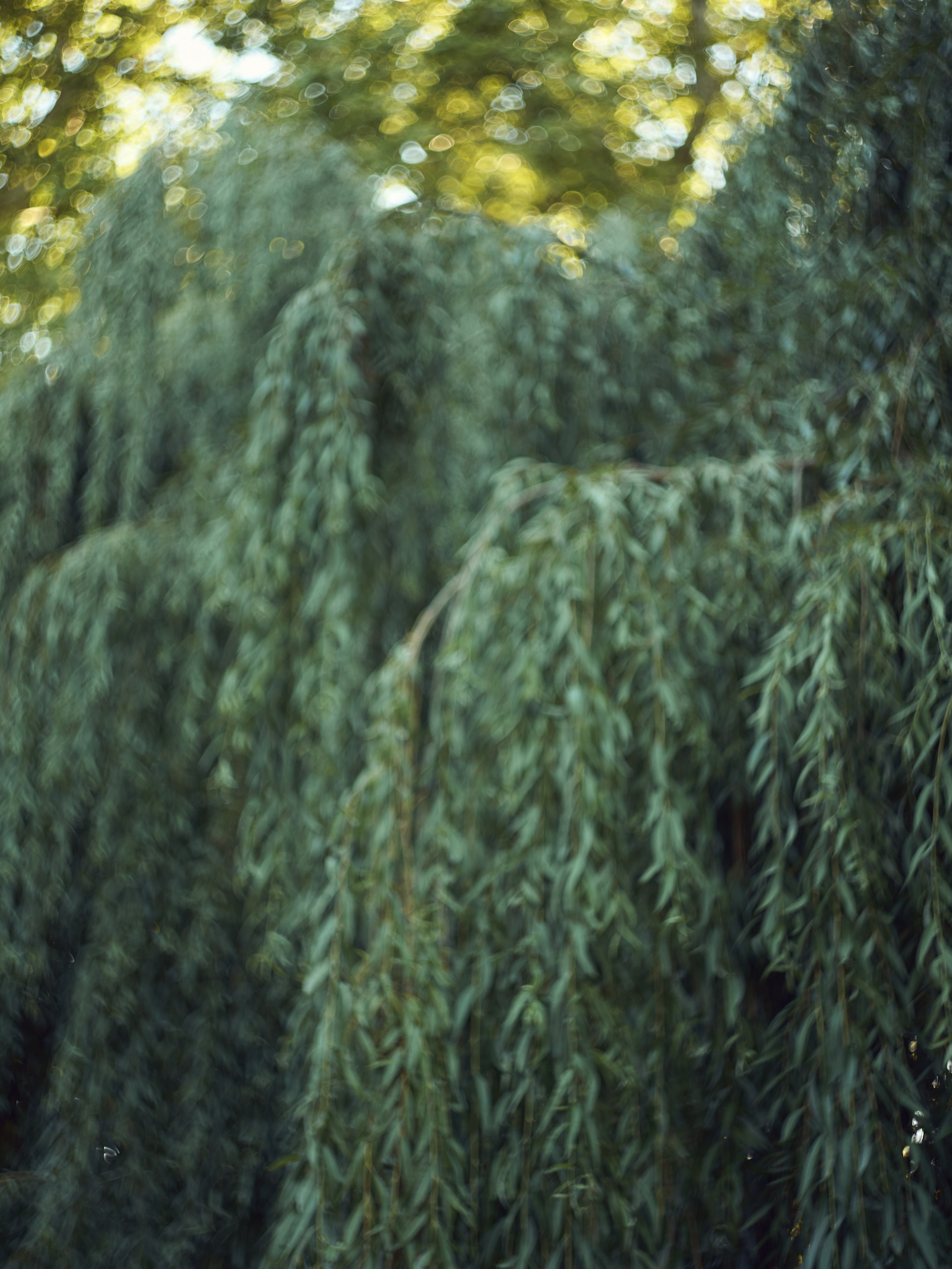 Travel. Vitali Beidel - Stuttgart Visual artist und Fotograf