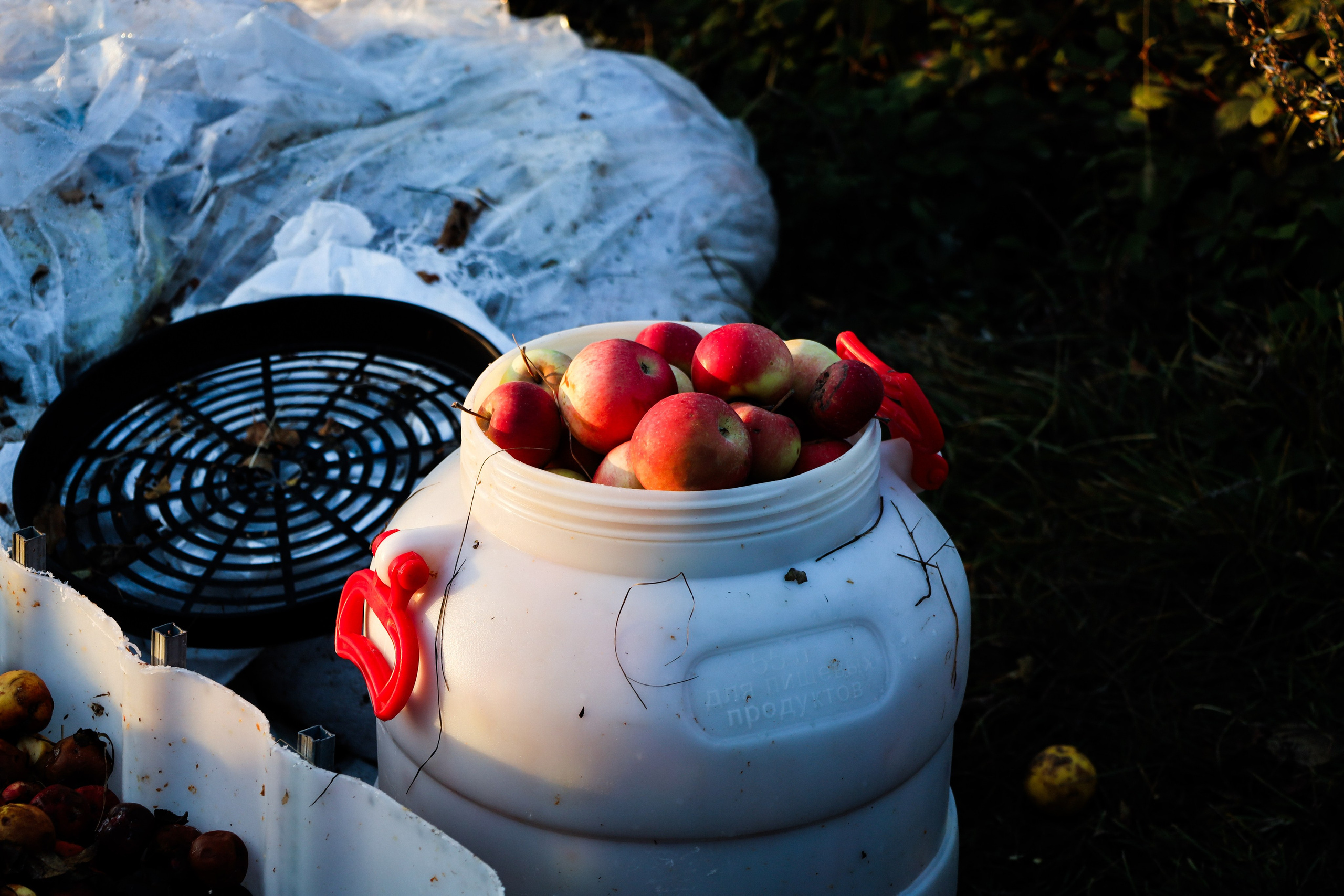 Factory reportage (hand-crafted cider). Asmikiam