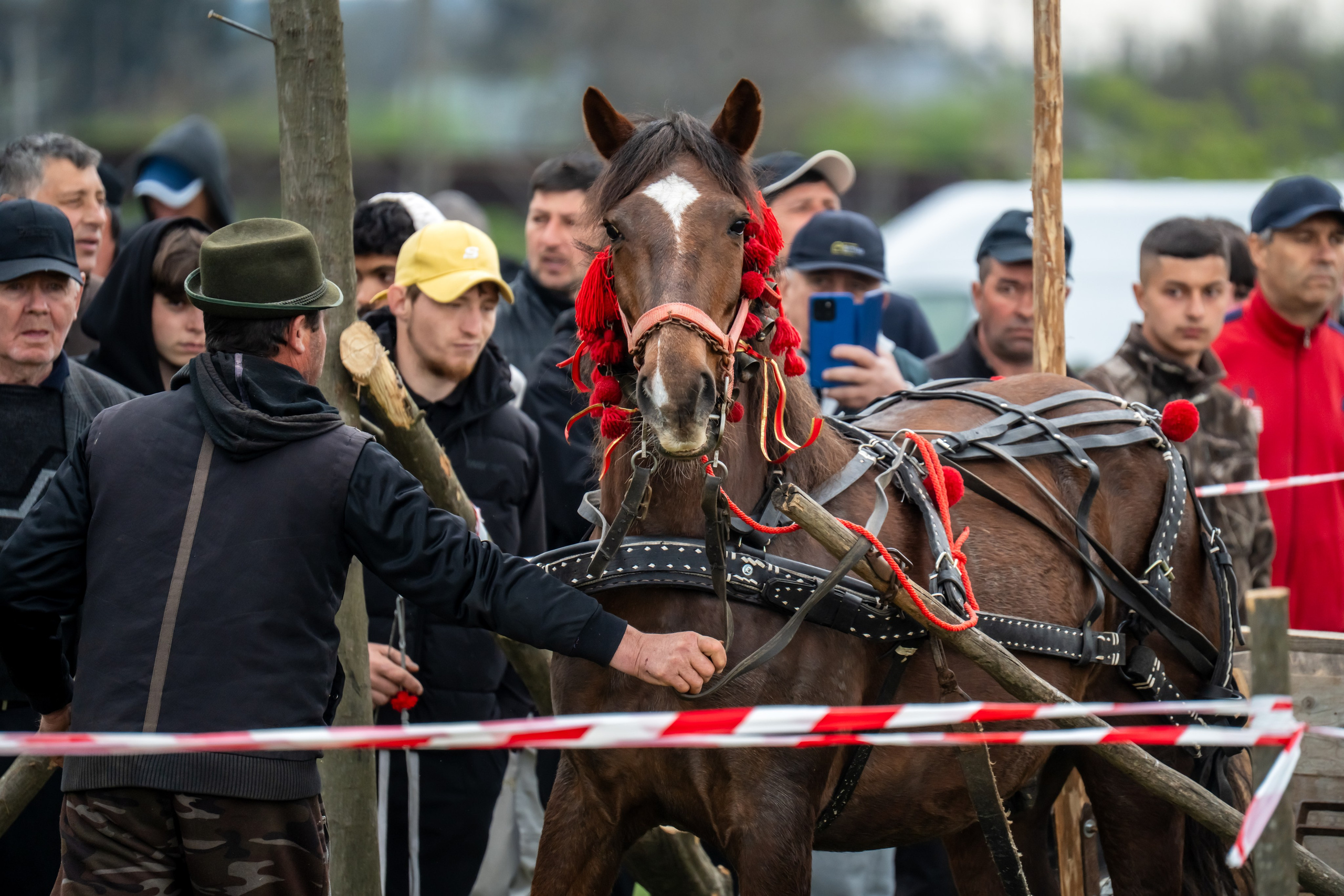 Concurs Ecvestru Vărbilău ediția a 4-a. Mihai Alexandra Events