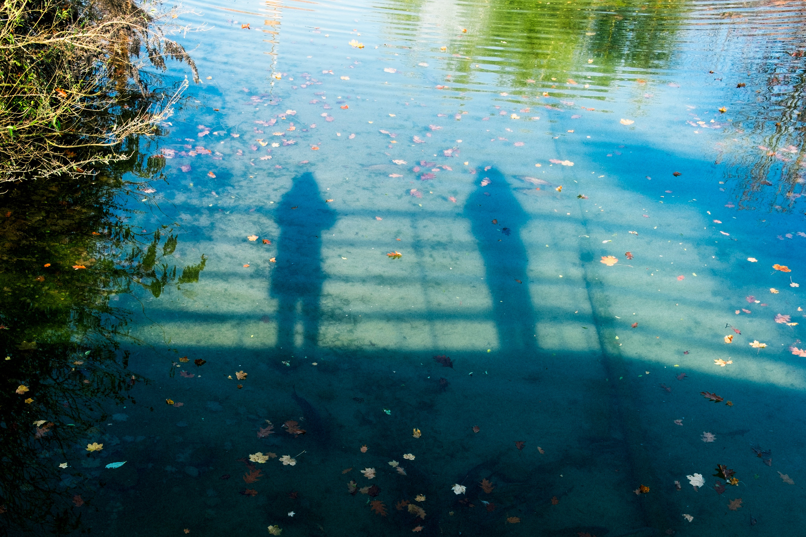 Supervisioni. Freelance Photographer Gabriele Argentino