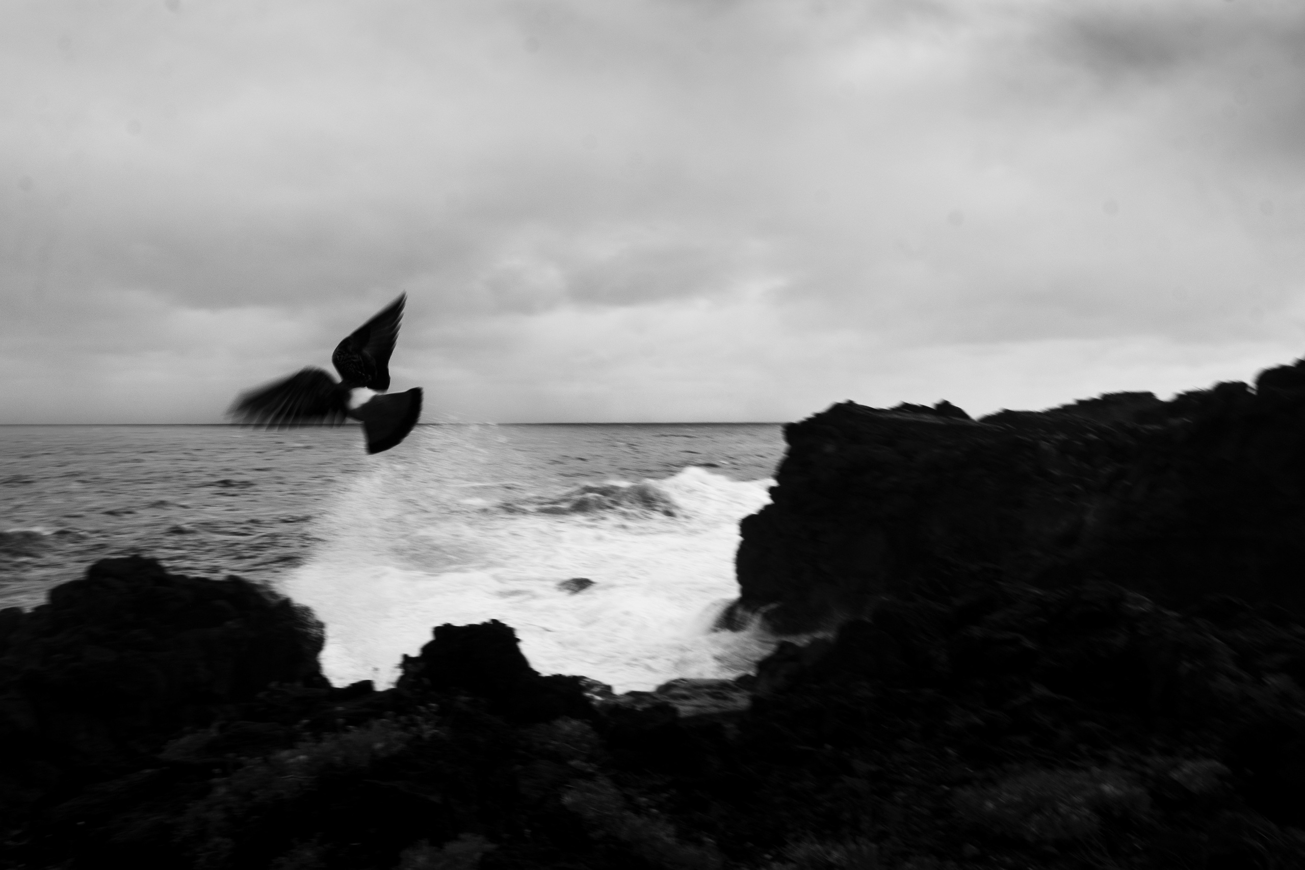 Supervisioni. Freelance Photographer Gabriele Argentino