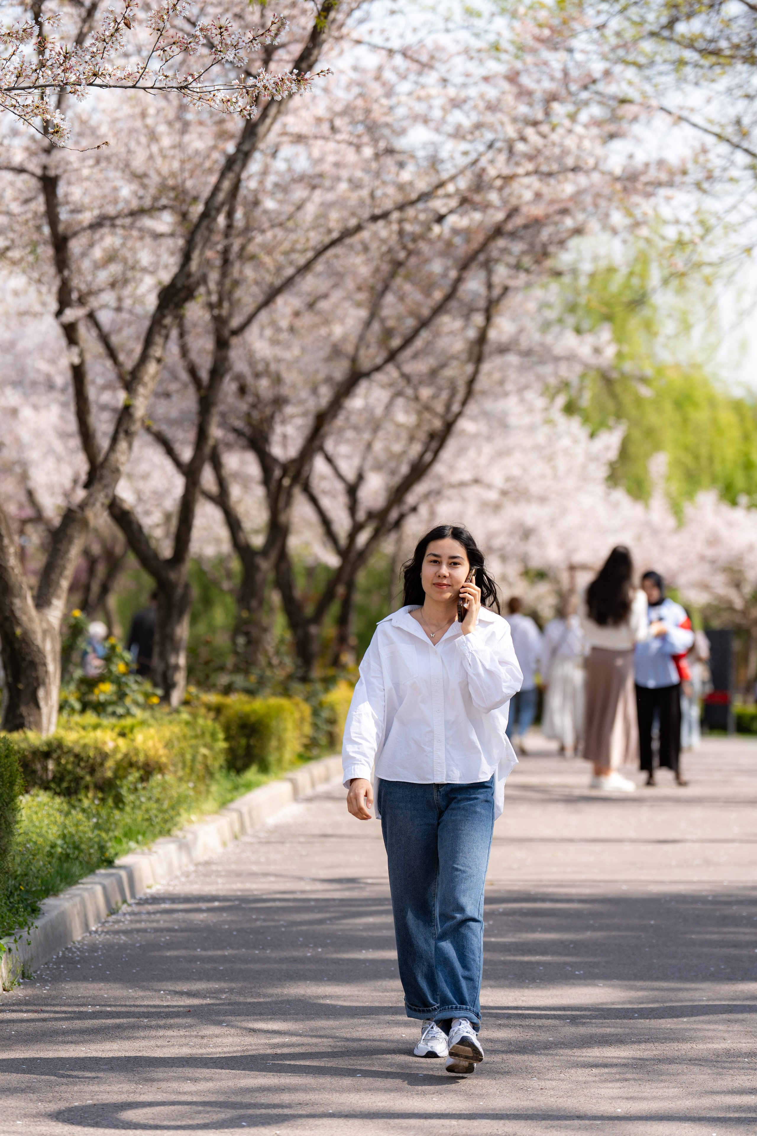 Весенний вайб Ташкента. Георгий Намазов | Фотограф в Ташкенте