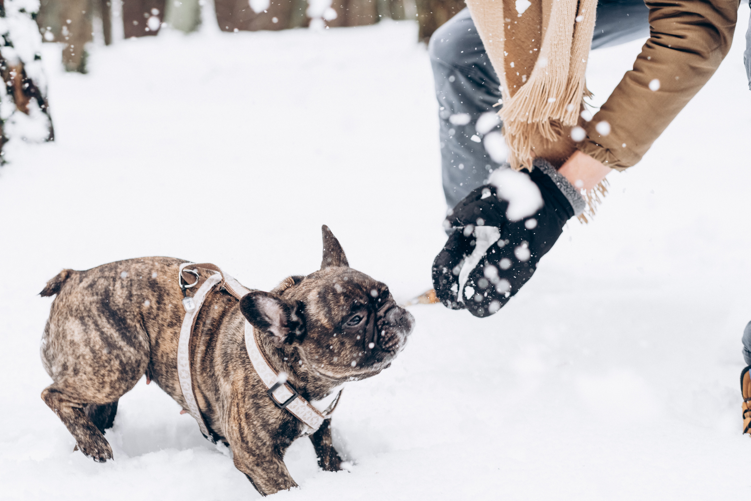 Sasha & Vika love story. Портфолио