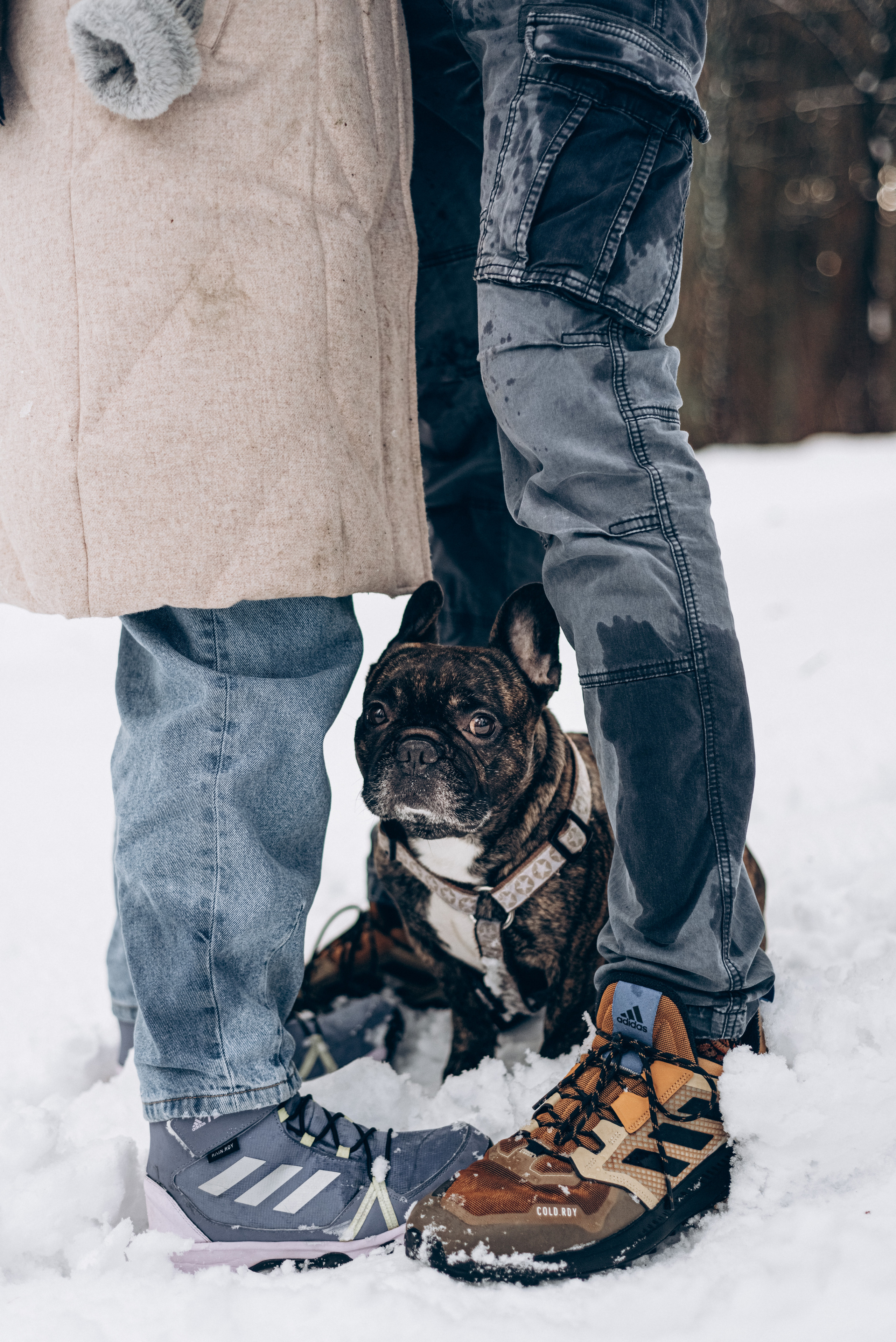 Sasha & Vika love story. Портфолио