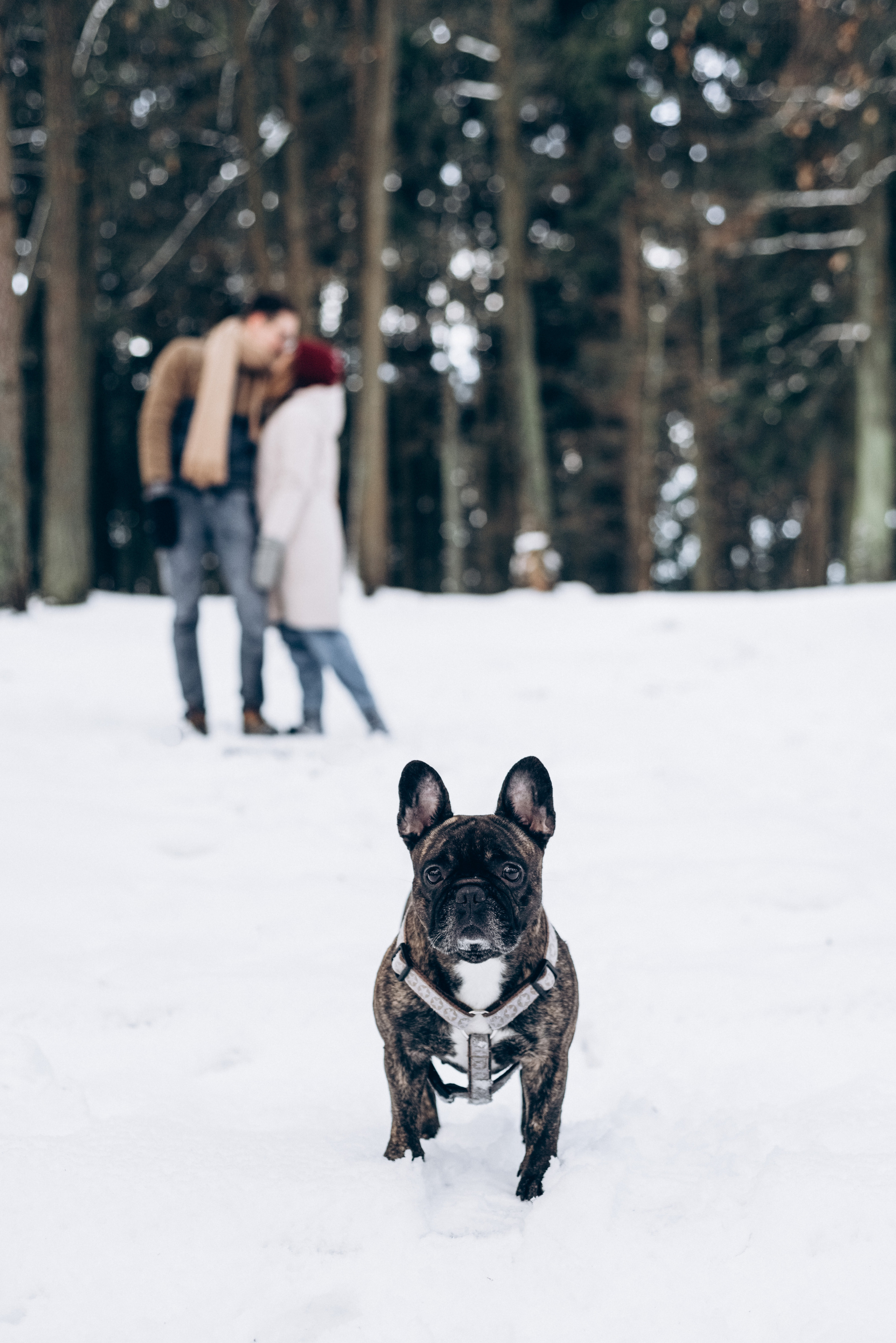 Sasha & Vika love story. Портфолио